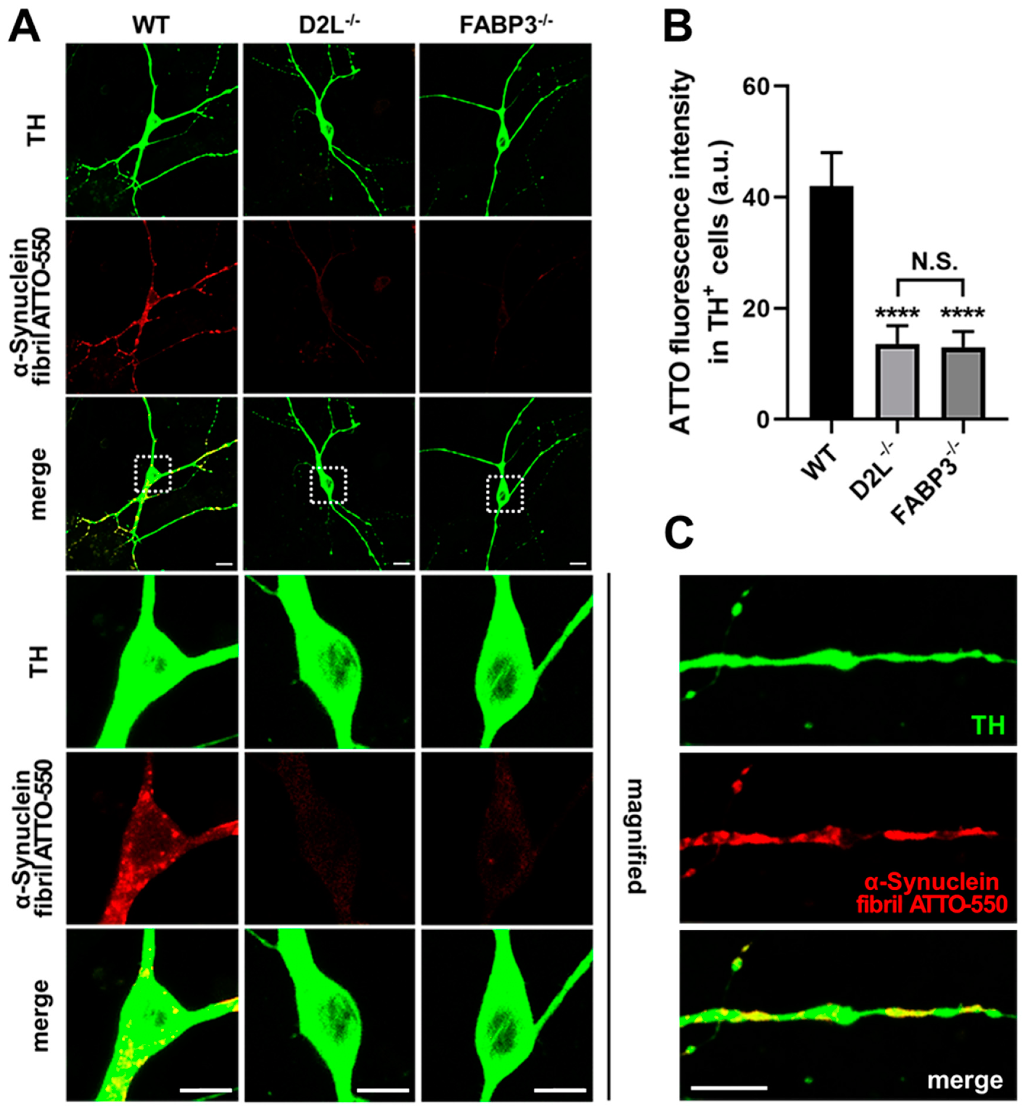 Biomedicines 09 00049 g006 Biomedicines 09 00049 g006