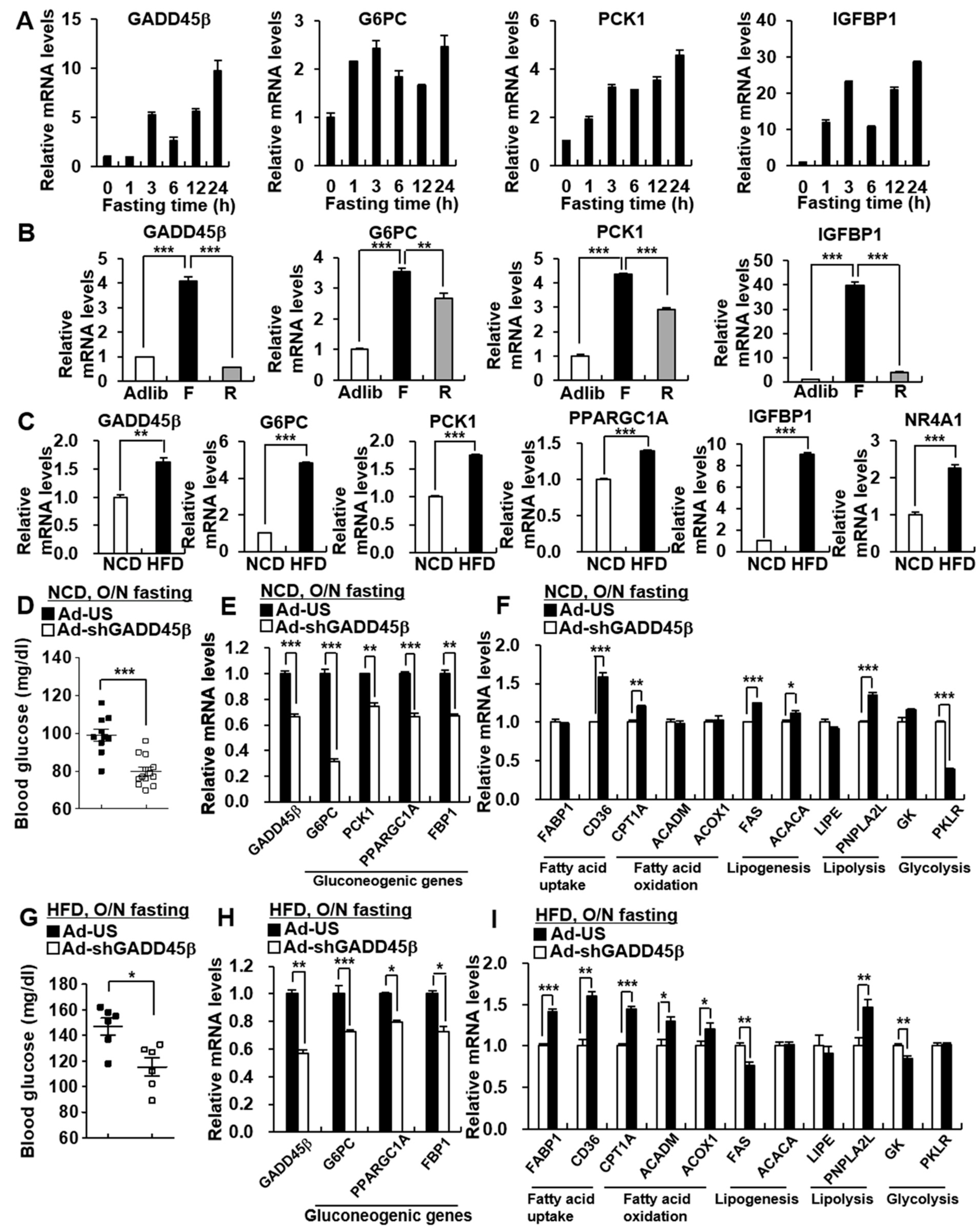 Biomedicines 09 00050 g001