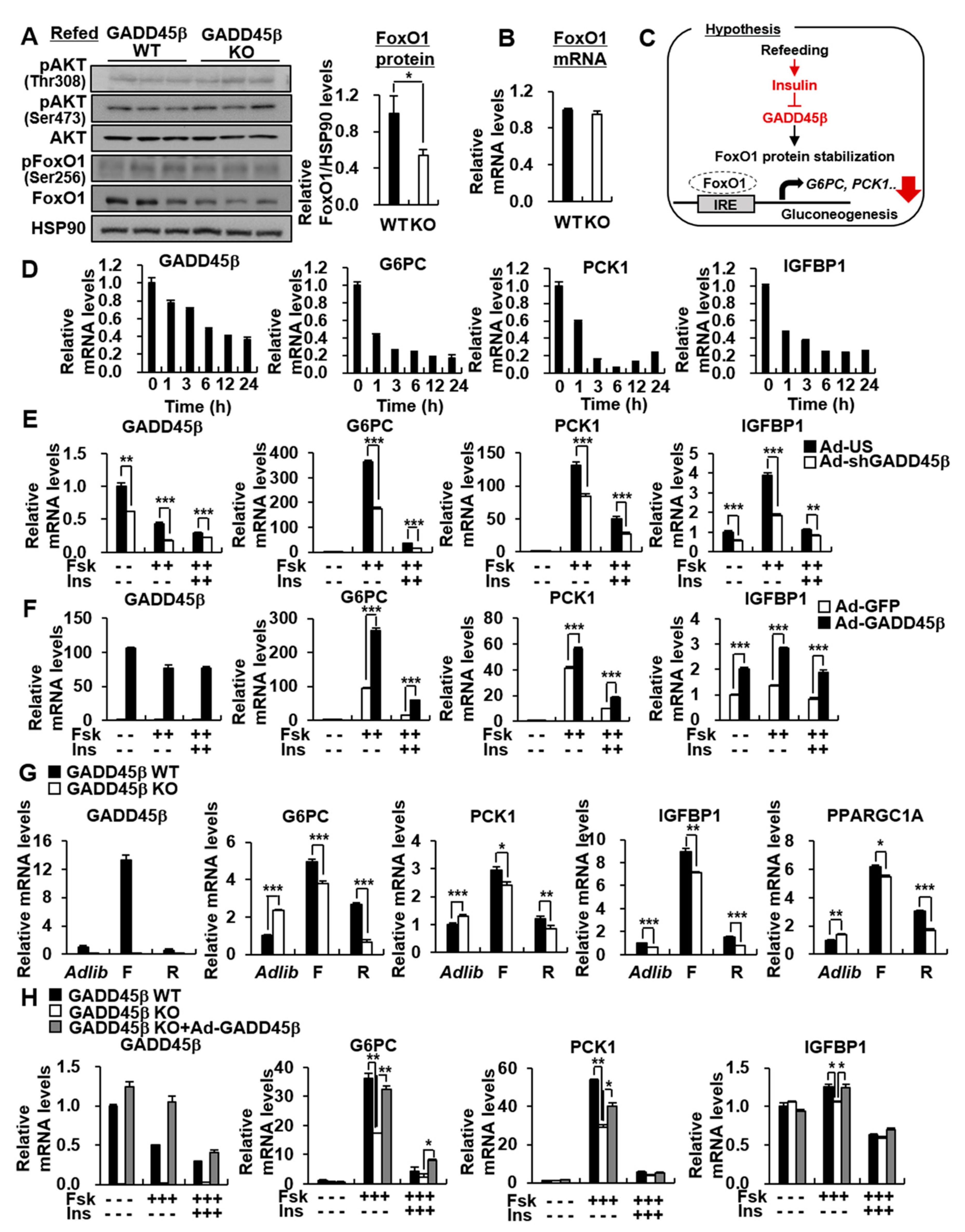 Biomedicines 09 00050 g004