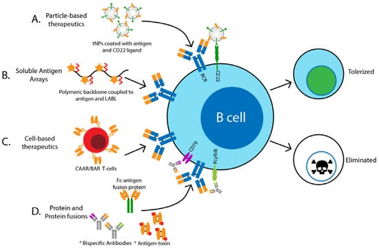 Biomedicines | Free Full-Text | Therapeutic Targeting Of Autoreactive B ...