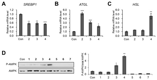 Biomedicines Free Full Text Anti Adipogenic Polyacetylene Glycosides From The Florets Of Safflower Carthamus Tinctorius Html