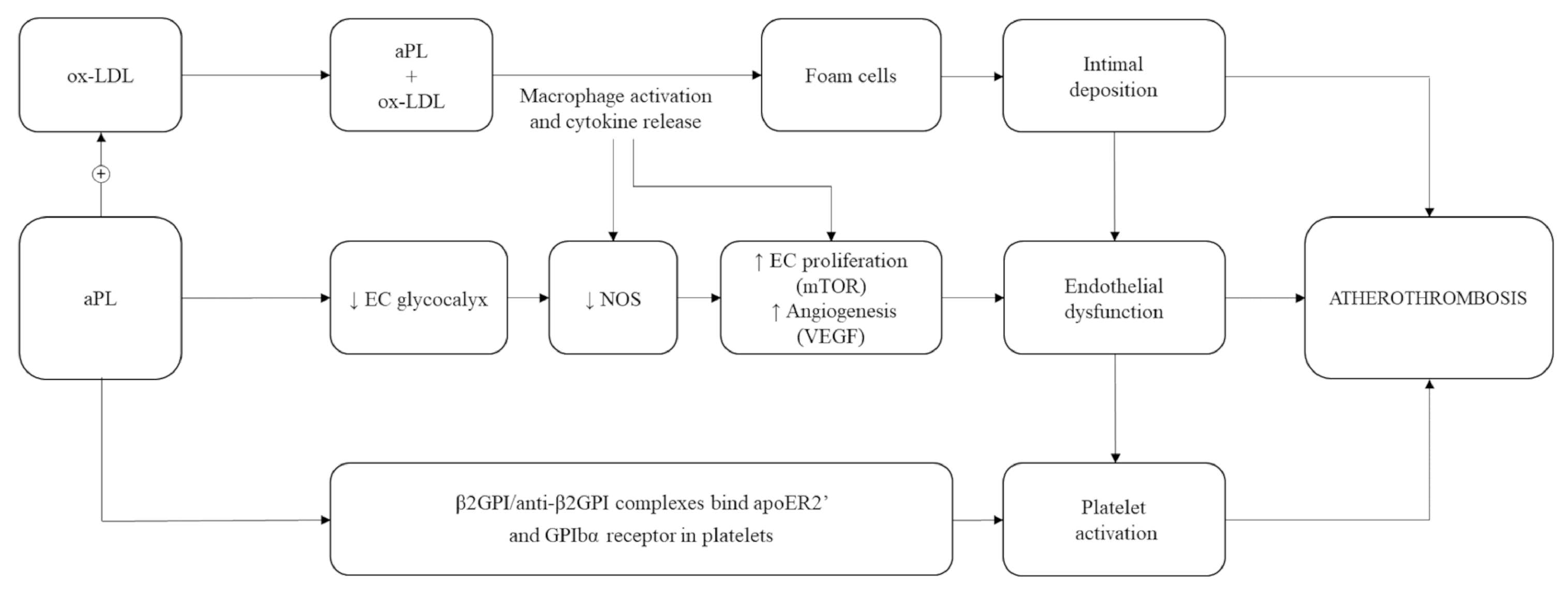 Biomedicines 09 00122 g002 Biomedicines 09 00122 g002