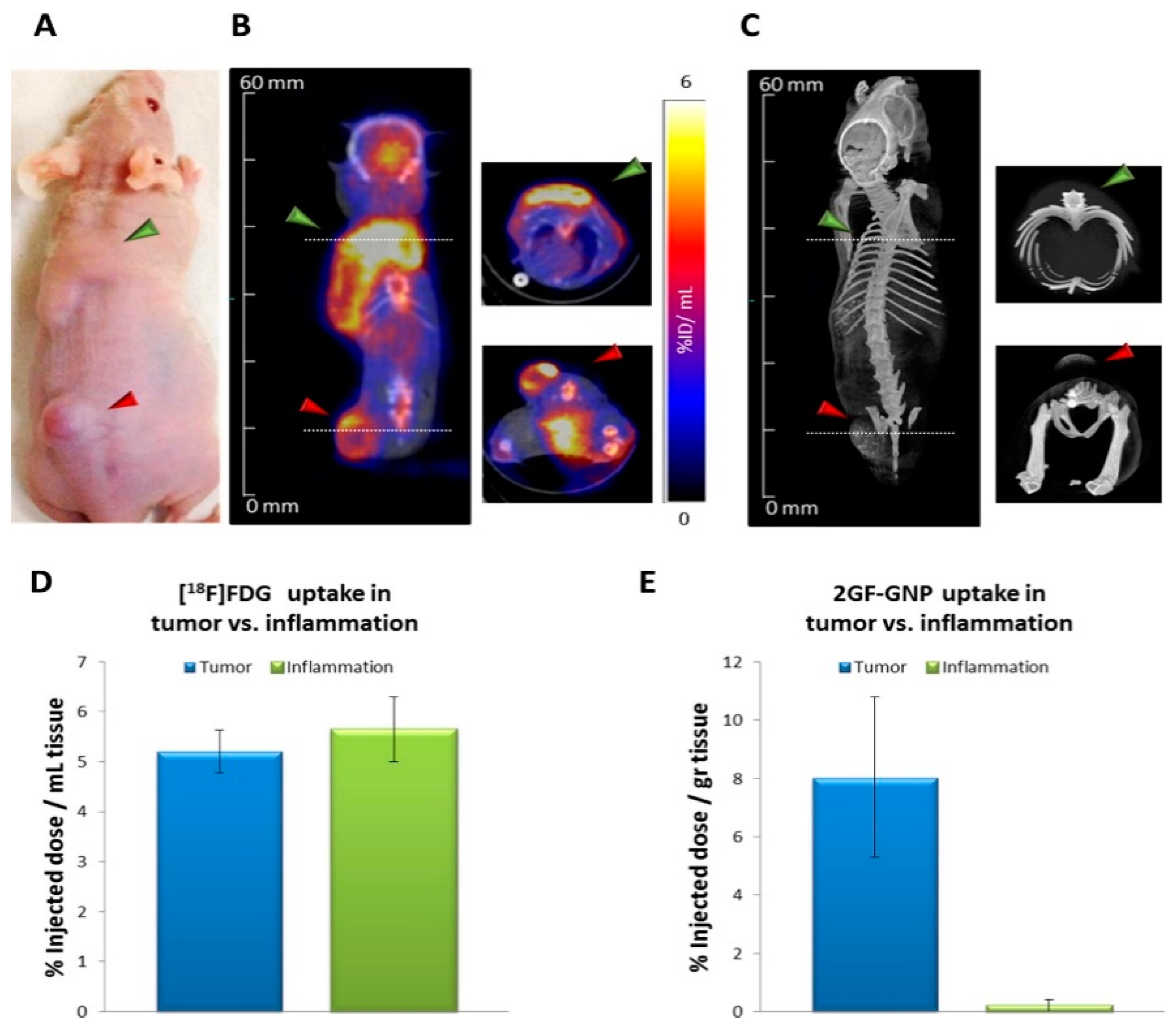 Biomedicines 09 00152 g006 Biomedicines 09 00152 g006