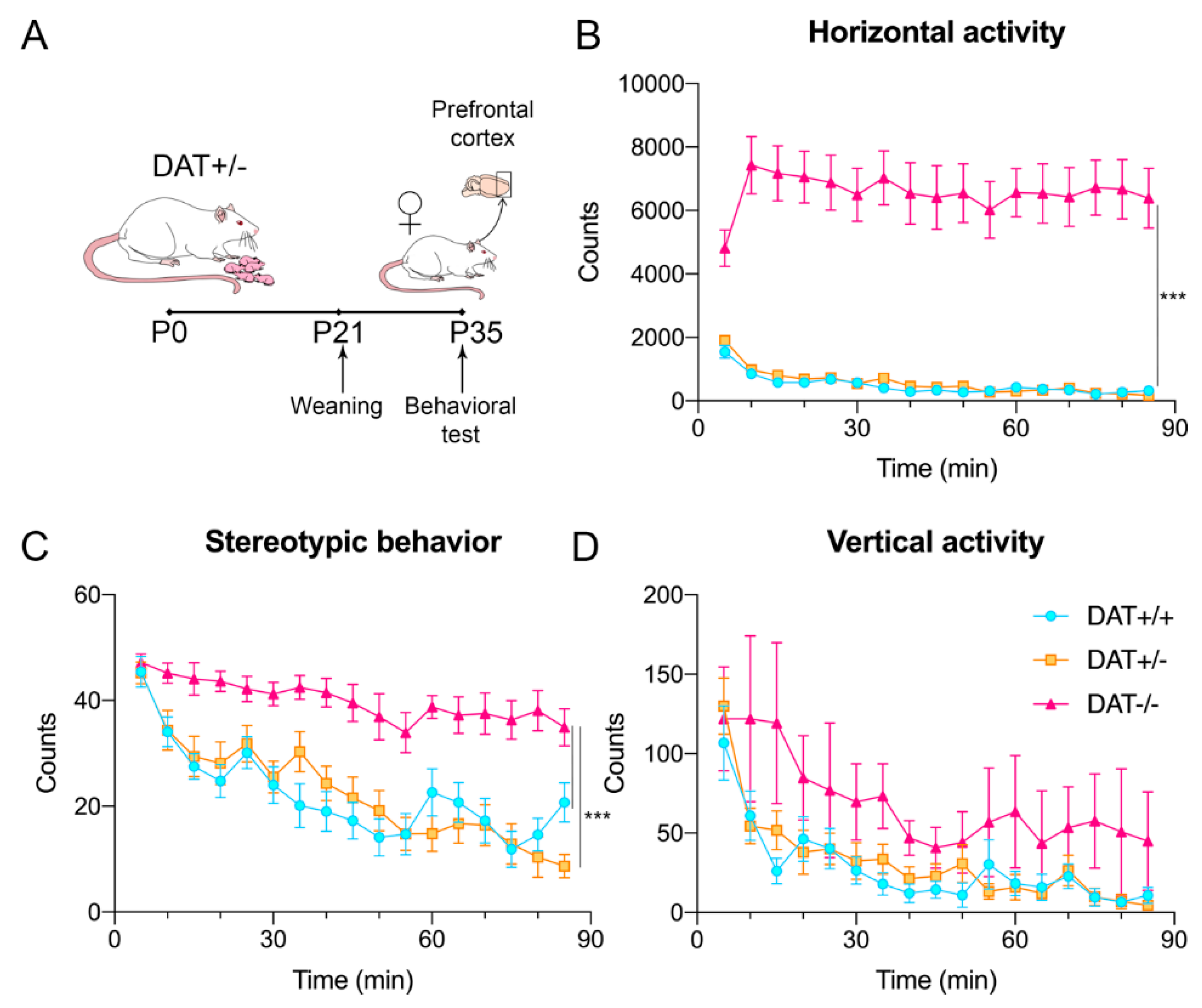 Biomedicines 09 00157 g001 Biomedicines 09 00157 g001