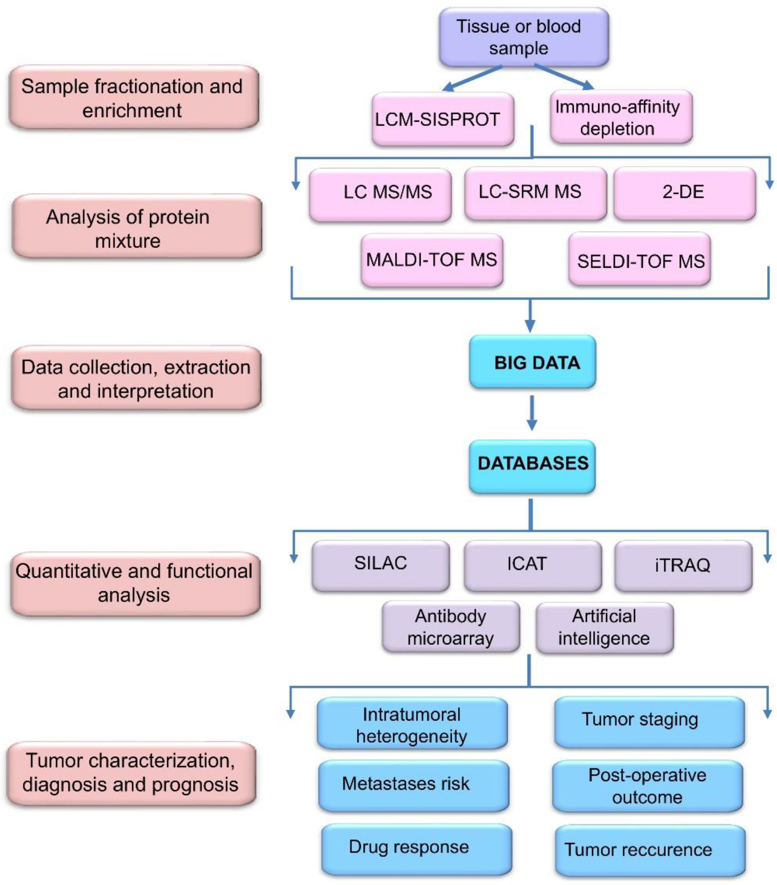 Biomedicines 09 00159 g002 Biomedicines 09 00159 g002
