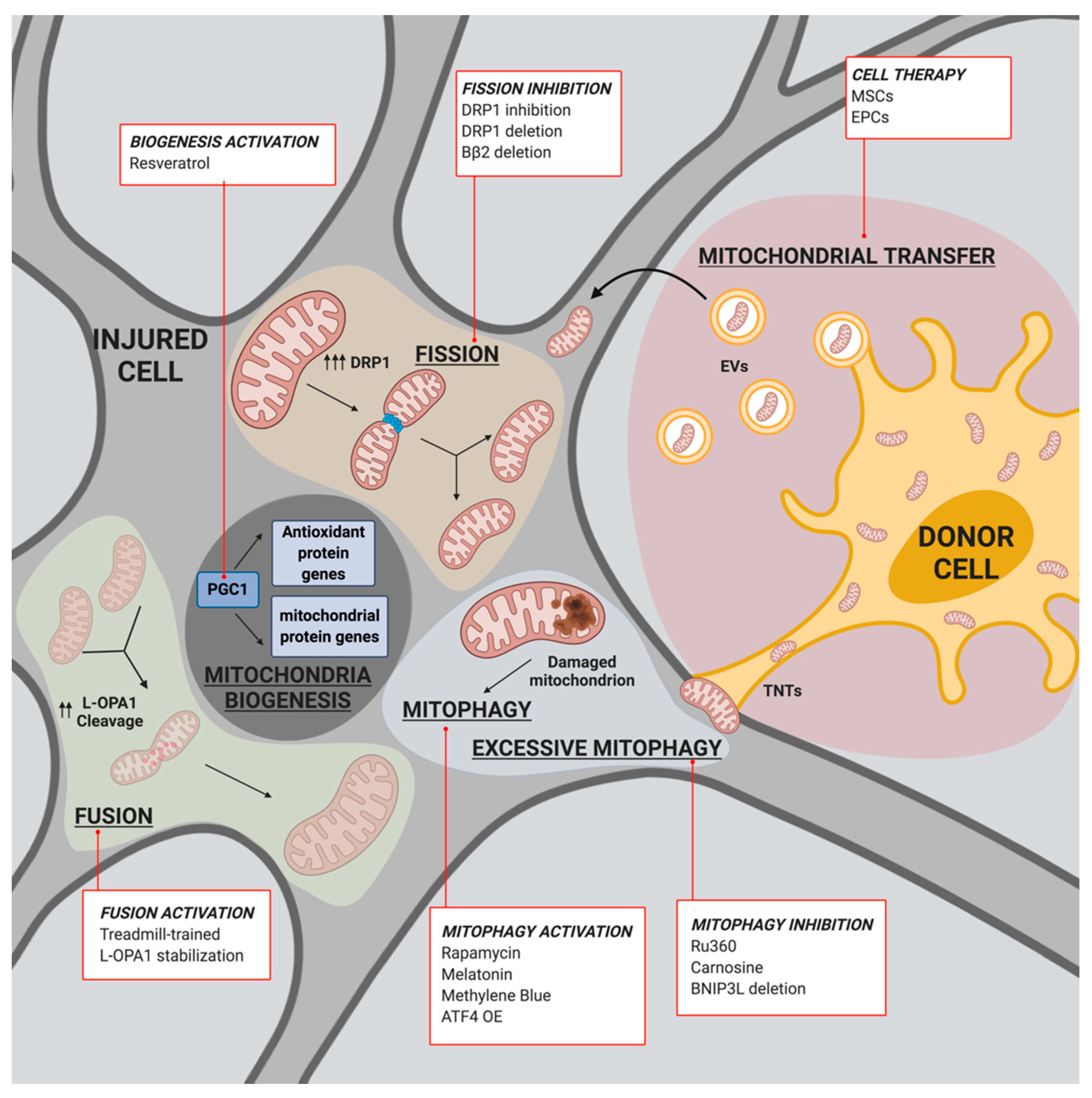 Biomedicines 09 00169 g002 Biomedicines 09 00169 g002