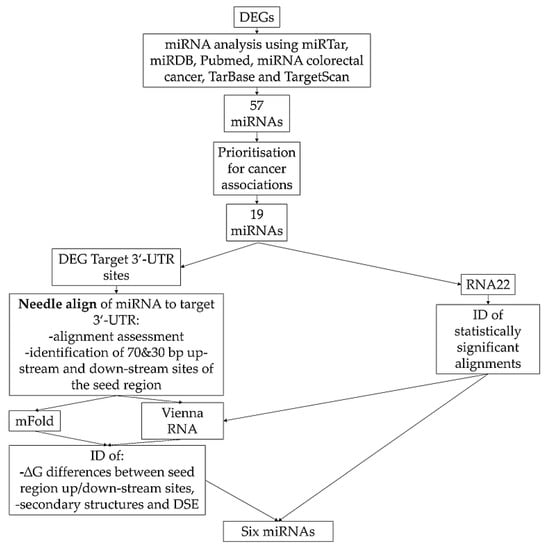 Biomedicines Free Full Text Identification And Validation Of New Cancer Stem Cell Related Genes And Their Regulatory Micrornas In Colorectal Cancerogenesis Html