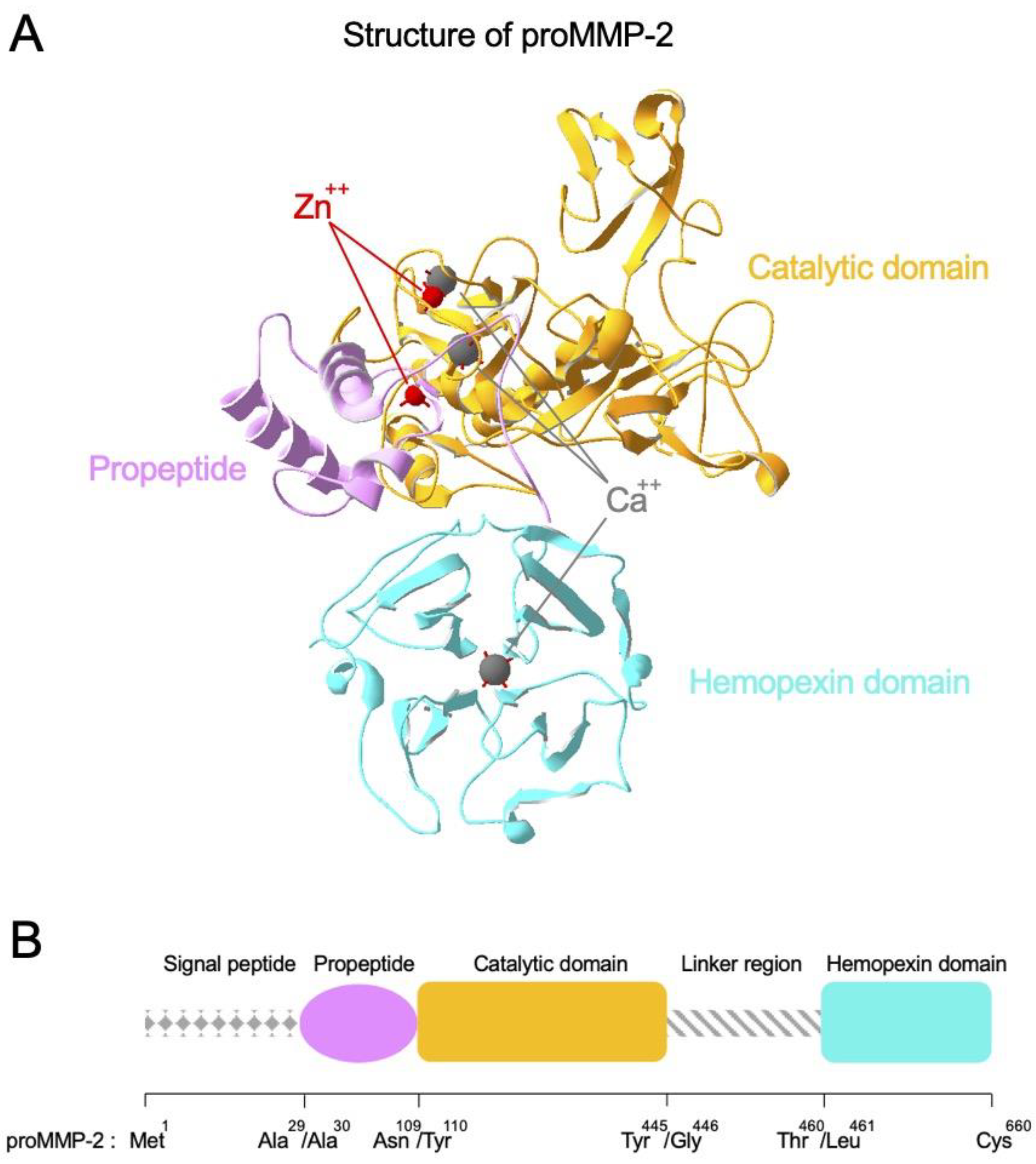 Biomedicines 09 00198 g002 Biomedicines 09 00198 g002