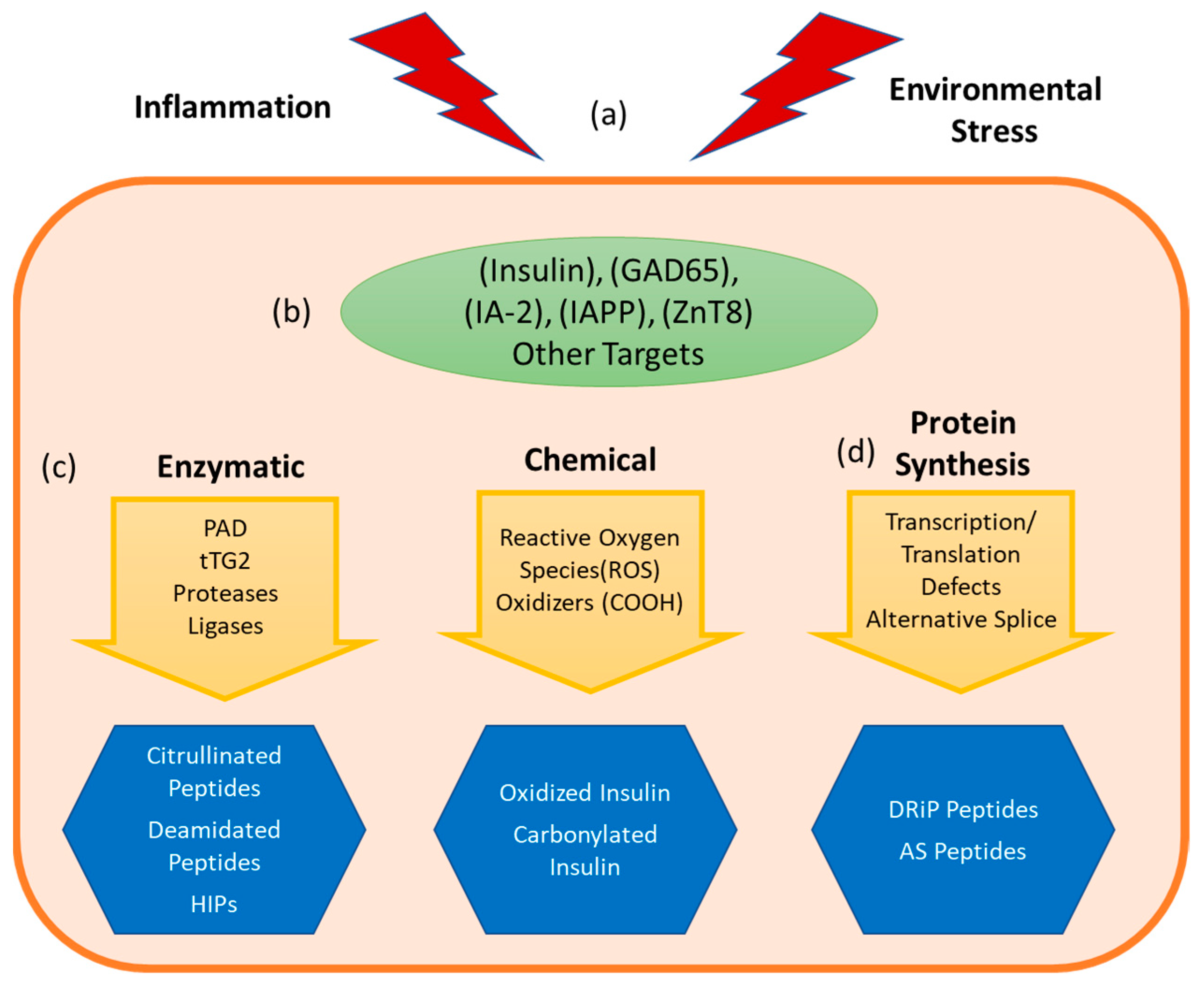 Biomedicines 09 00202 g002 Biomedicines 09 00202 g002