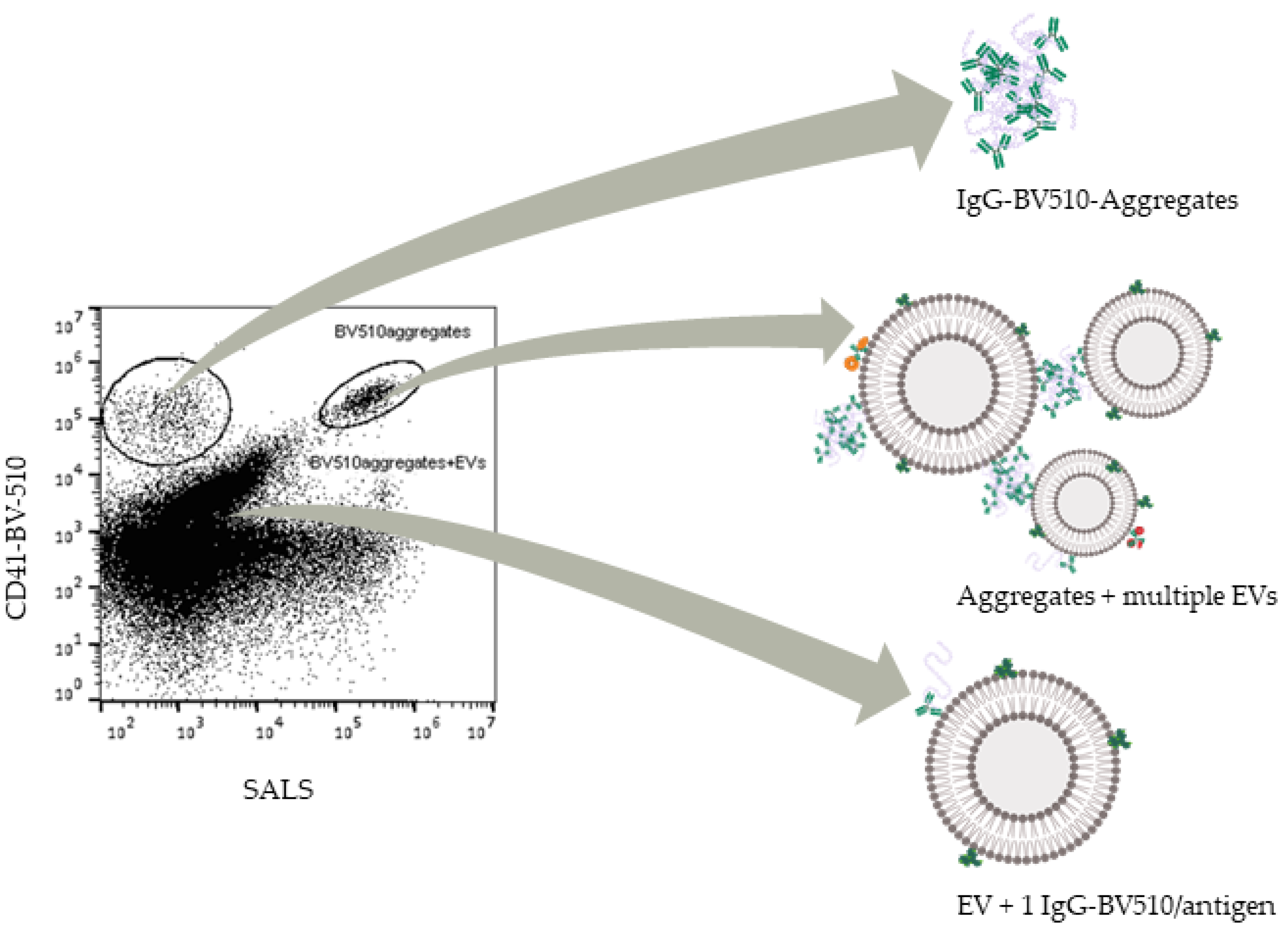 Biomedicines 09 00206 g005 Biomedicines 09 00206 g005