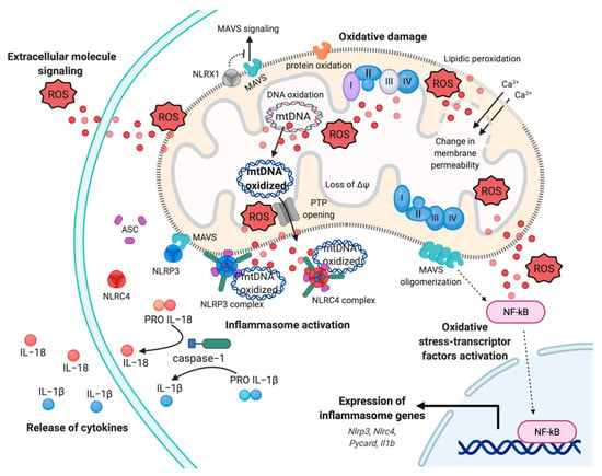 Biomedicines 09 00216 g002 550