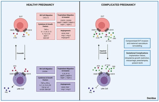 https://www.mdpi.com/biomedicines/biomedicines-09-00267/article_deploy/html/images/biomedicines-09-00267-g001-550.jpg