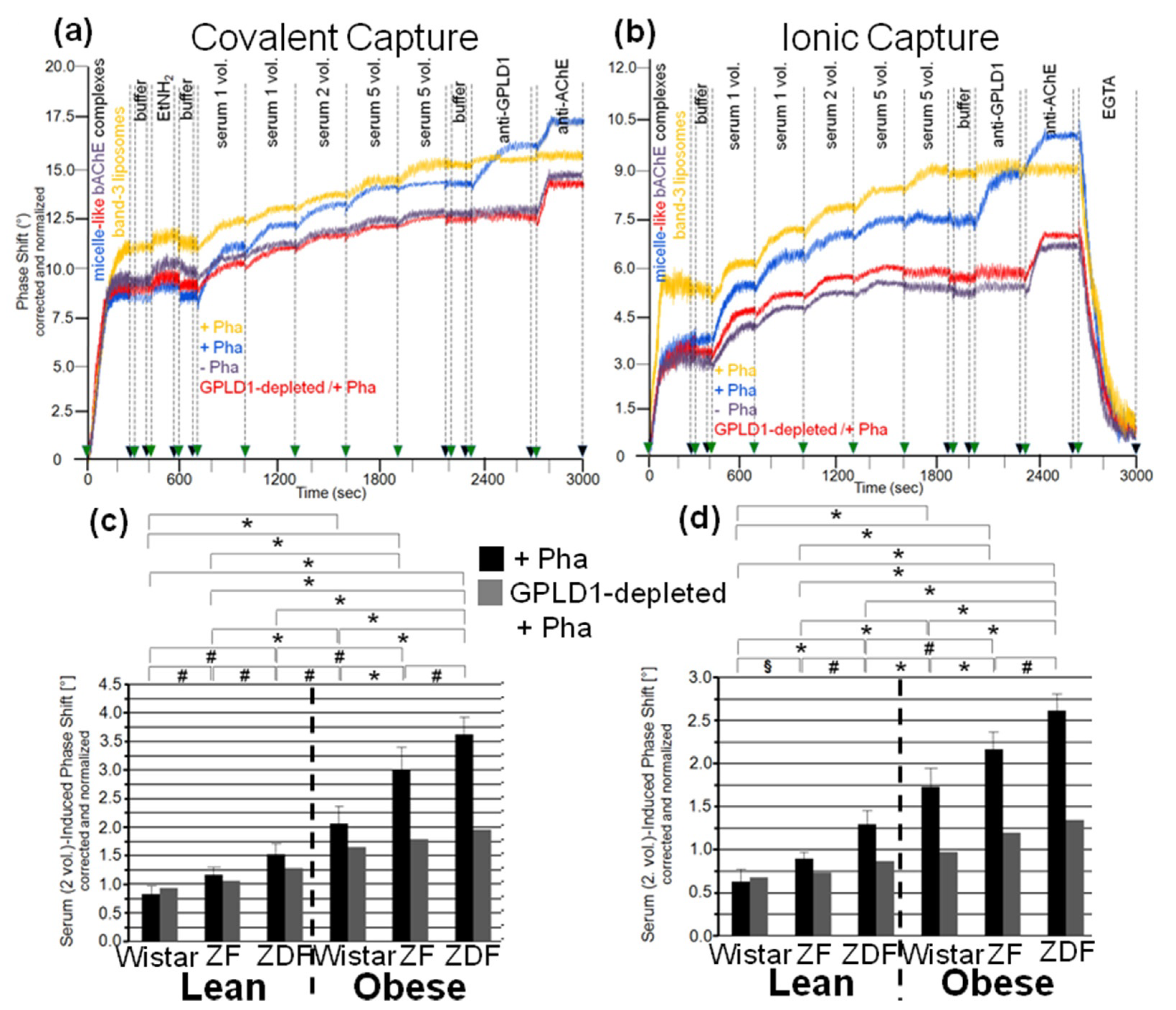 Biomedicines 09 00277 g003