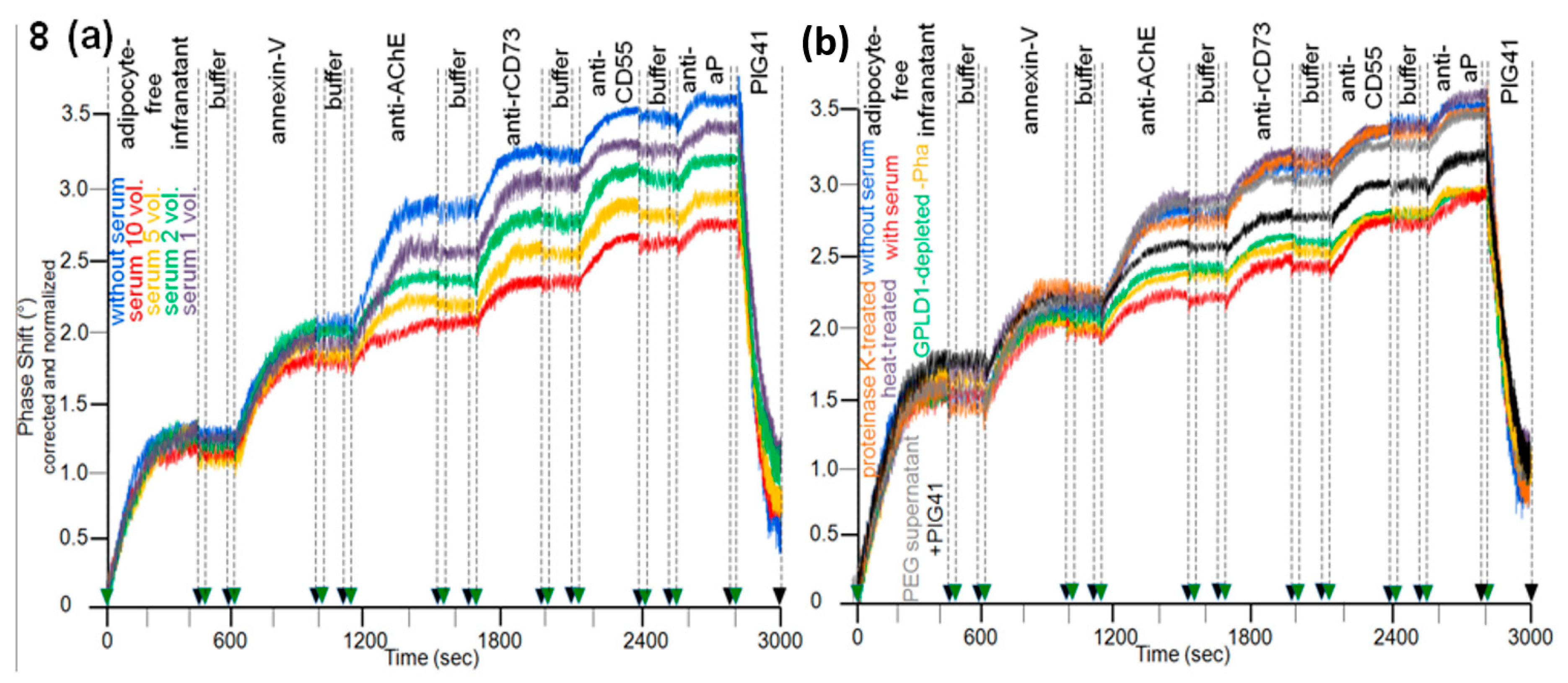 Biomedicines 09 00277 g008
