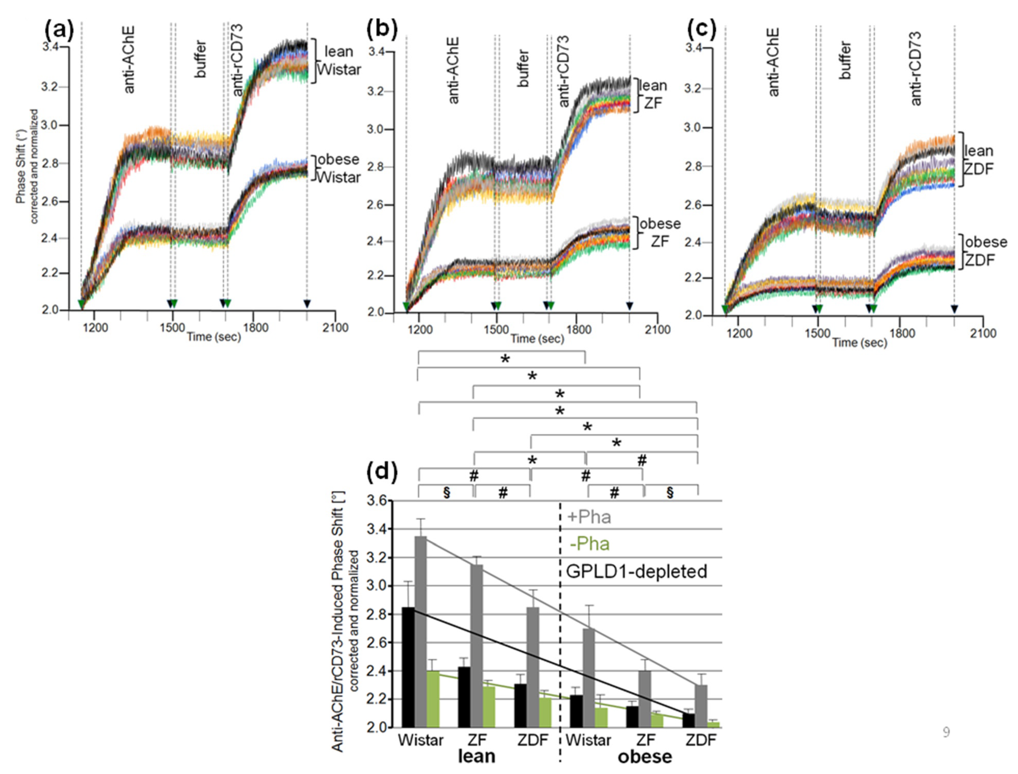 Biomedicines 09 00277 g009