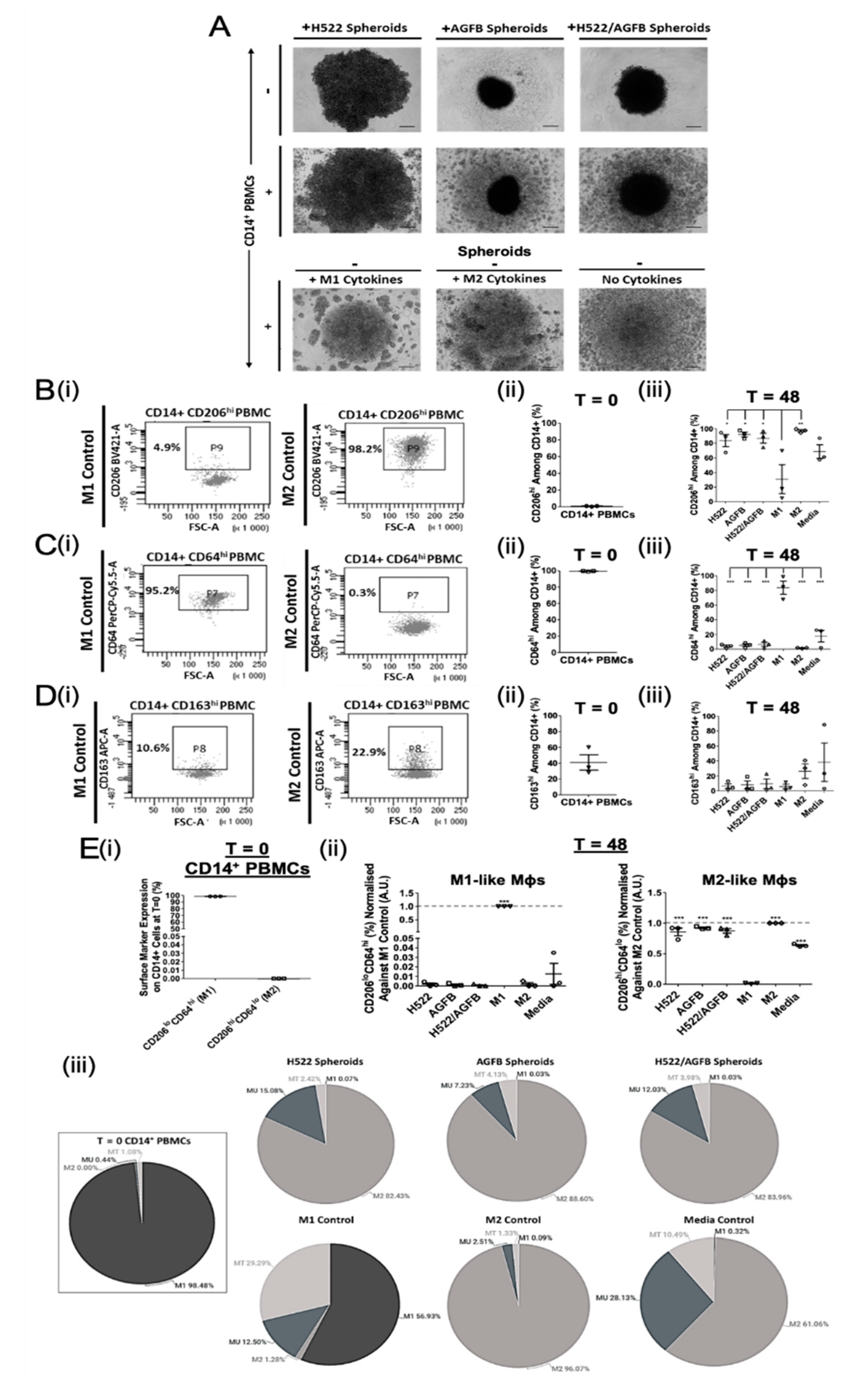 Biomedicines | Free Full-Text | Macrophage Plasticity and Function in the  Lung Tumour Microenvironment Revealed in 3D Heterotypic Spheroid and  Explant Models | HTML