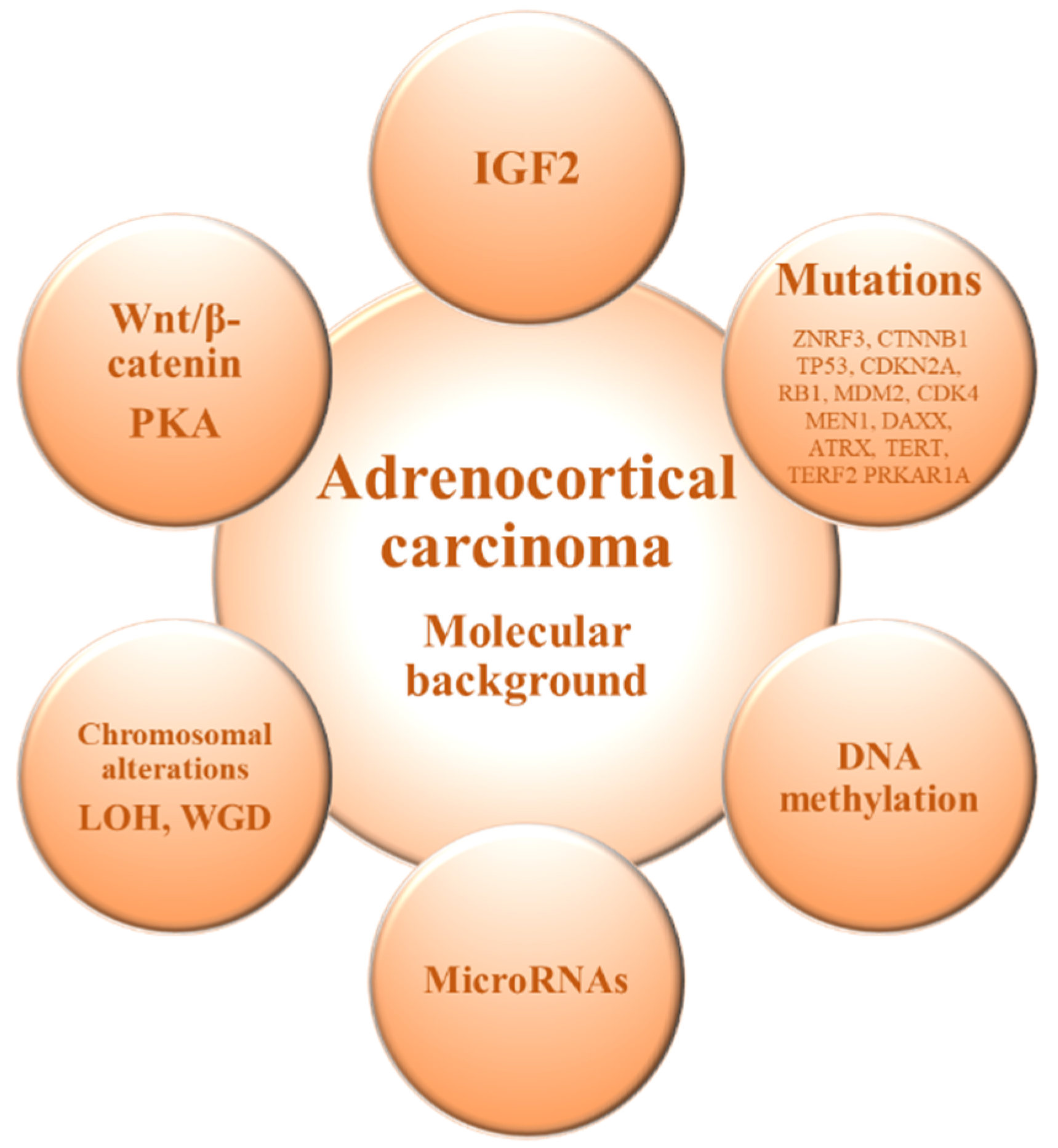 Biomedicines 09 00304 g001