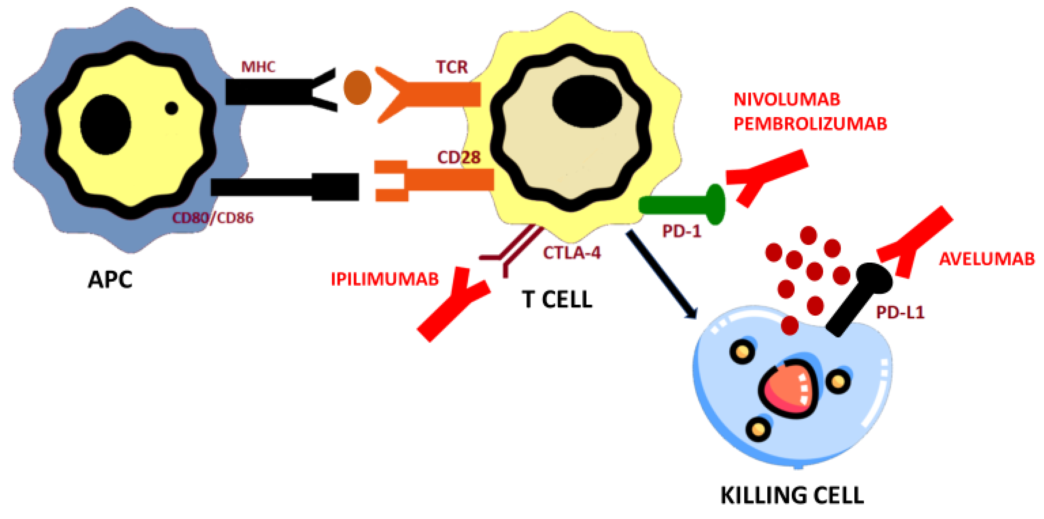 Biomedicines 09 00304 g002