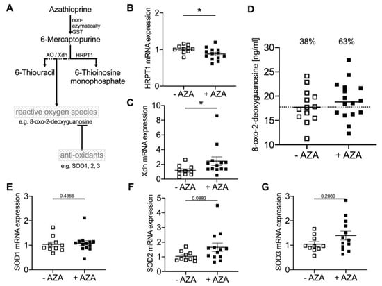 Biomedicines Free Full Text Long Term Treatment Of Azathioprine In Rats Induces Vessel Mineralization Html