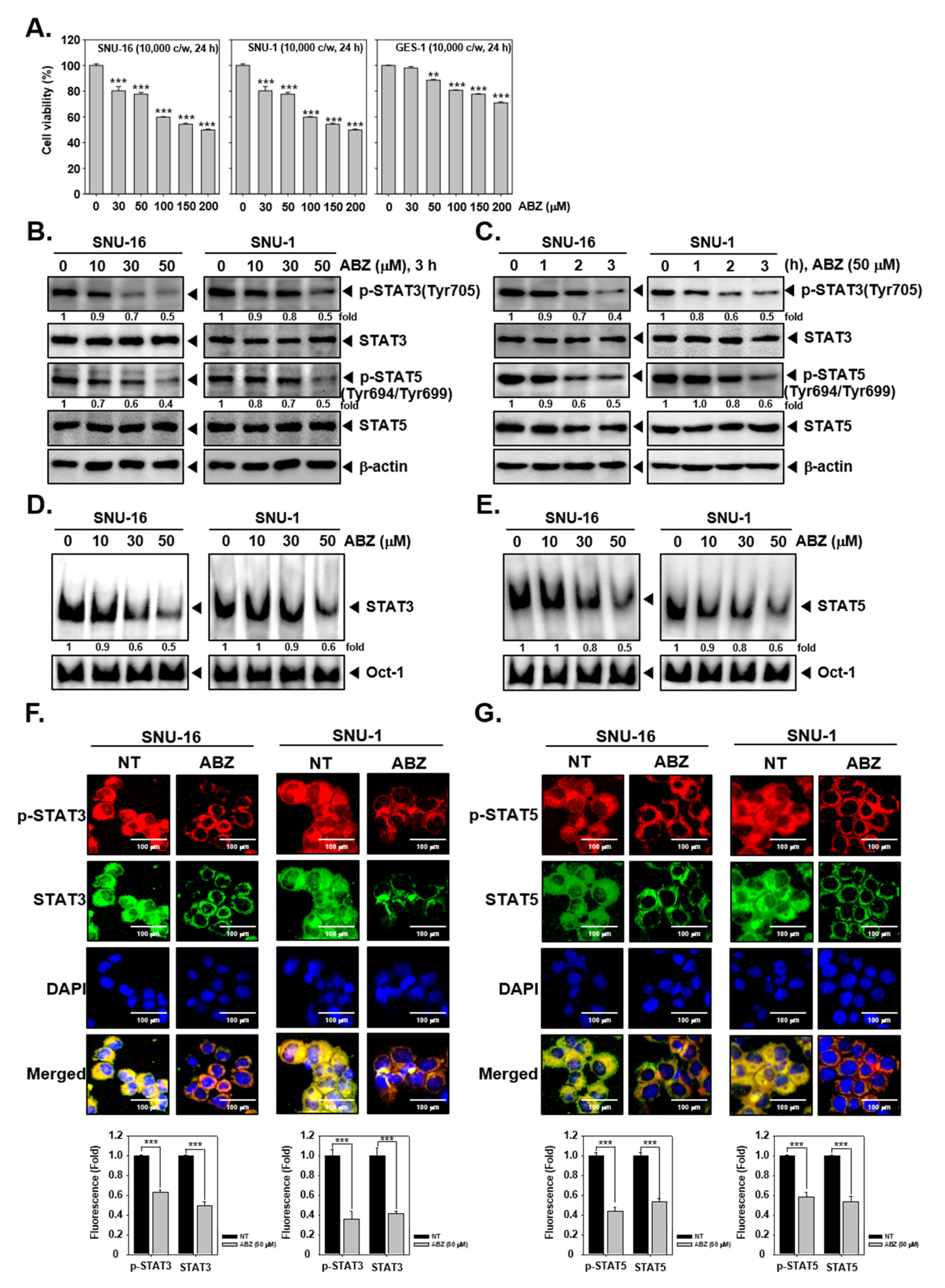 Biomedicines 09 00362 g002 Biomedicines 09 00362 g002