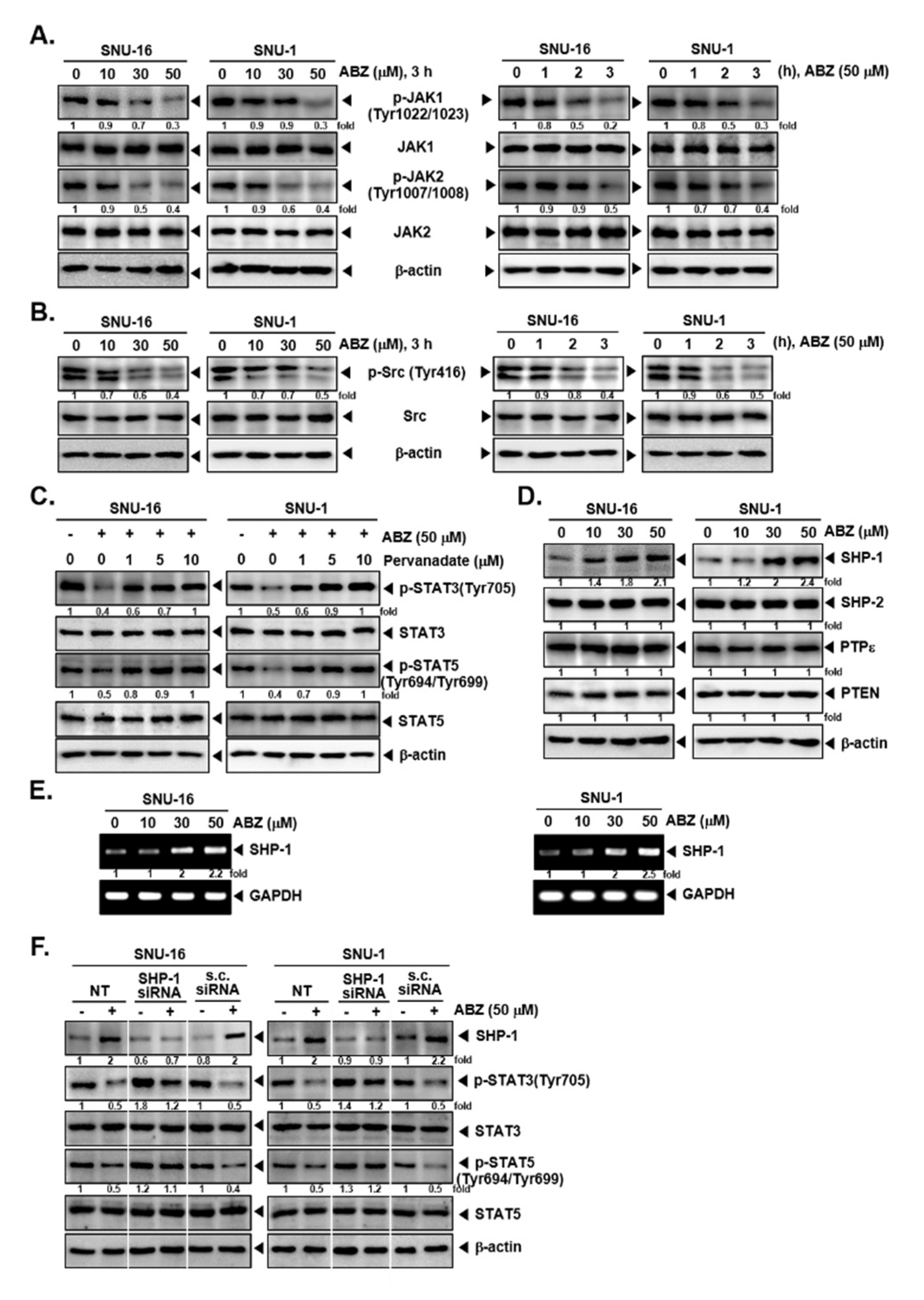 Biomedicines 09 00362 g003 Biomedicines 09 00362 g003