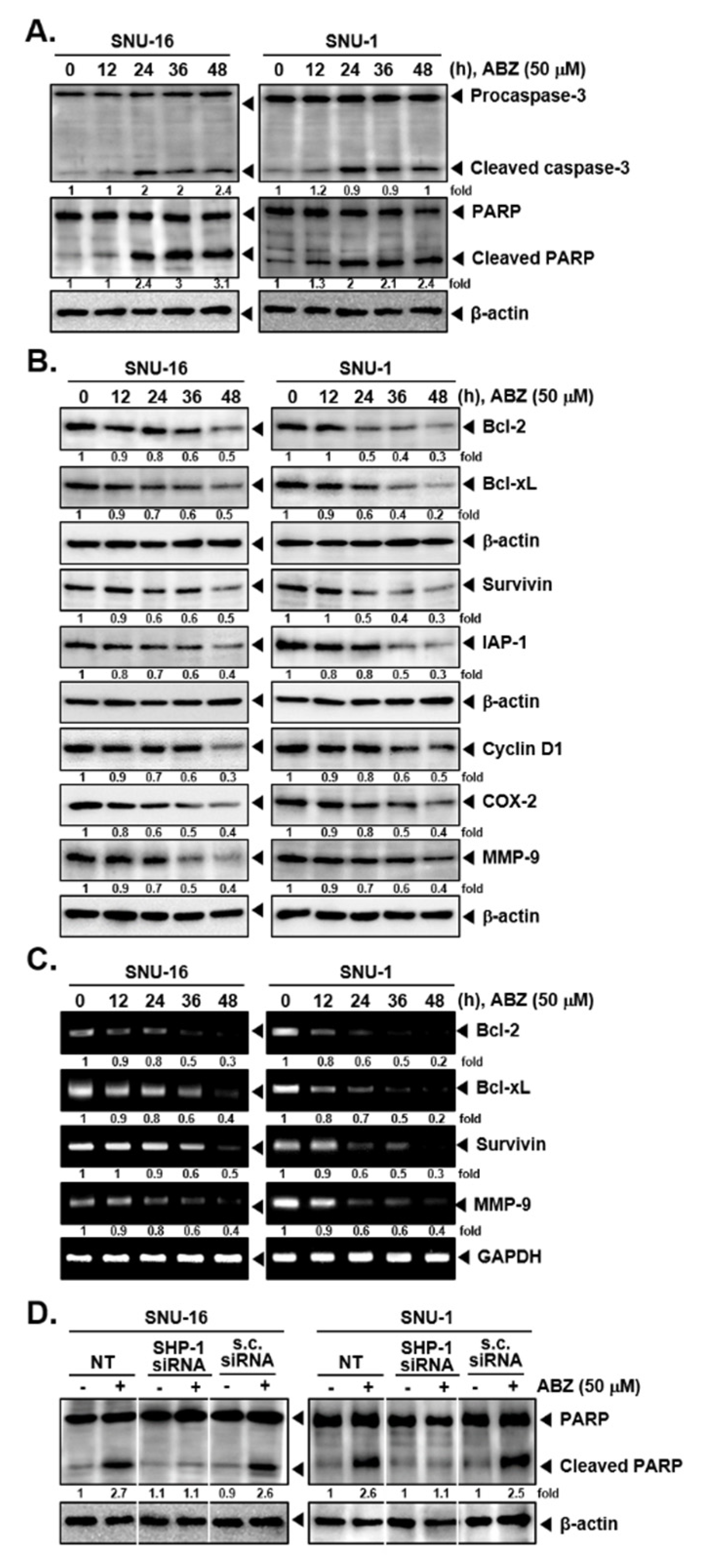 Biomedicines 09 00362 g004 Biomedicines 09 00362 g004