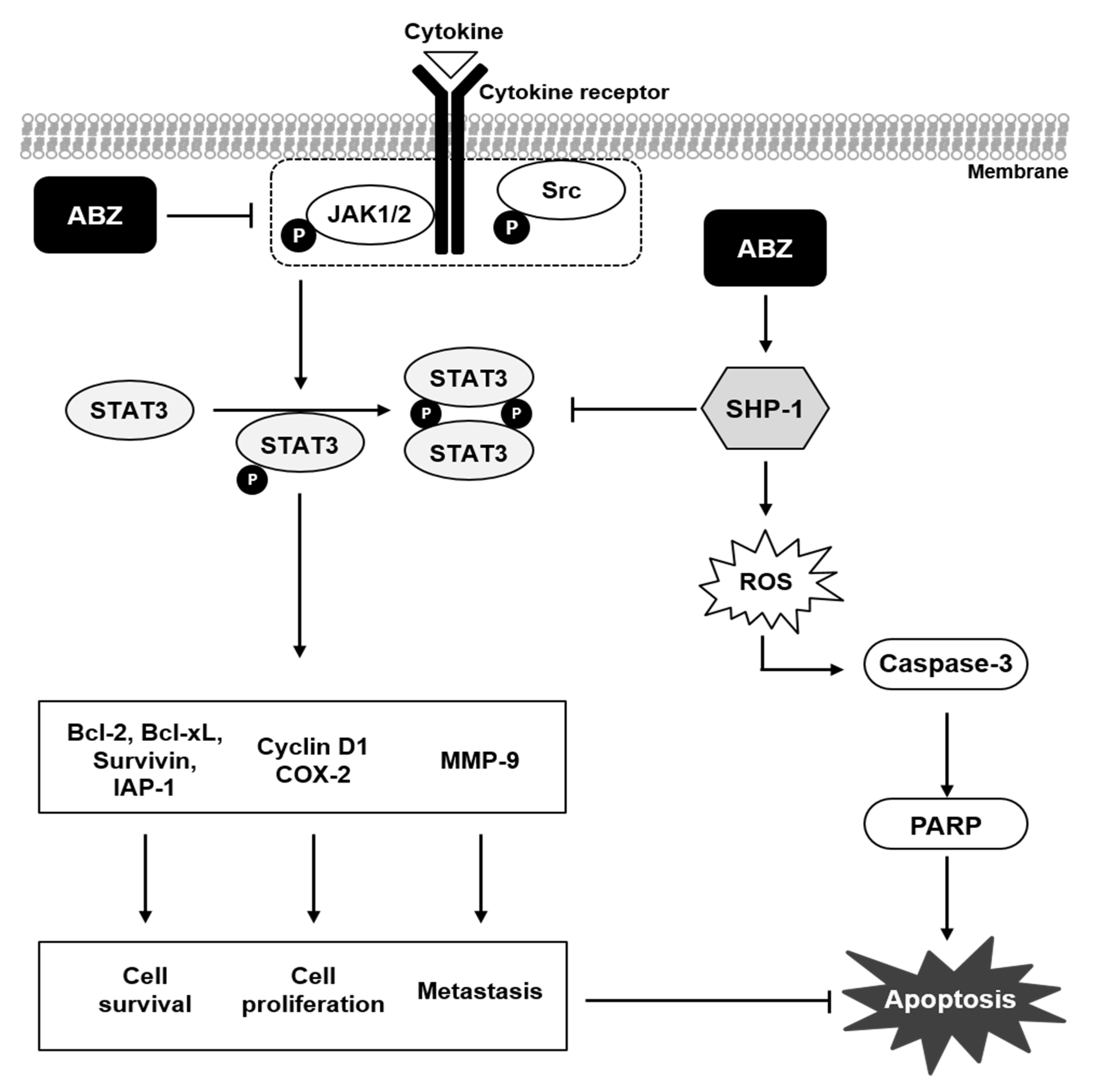 Biomedicines 09 00362 g007 Biomedicines 09 00362 g007