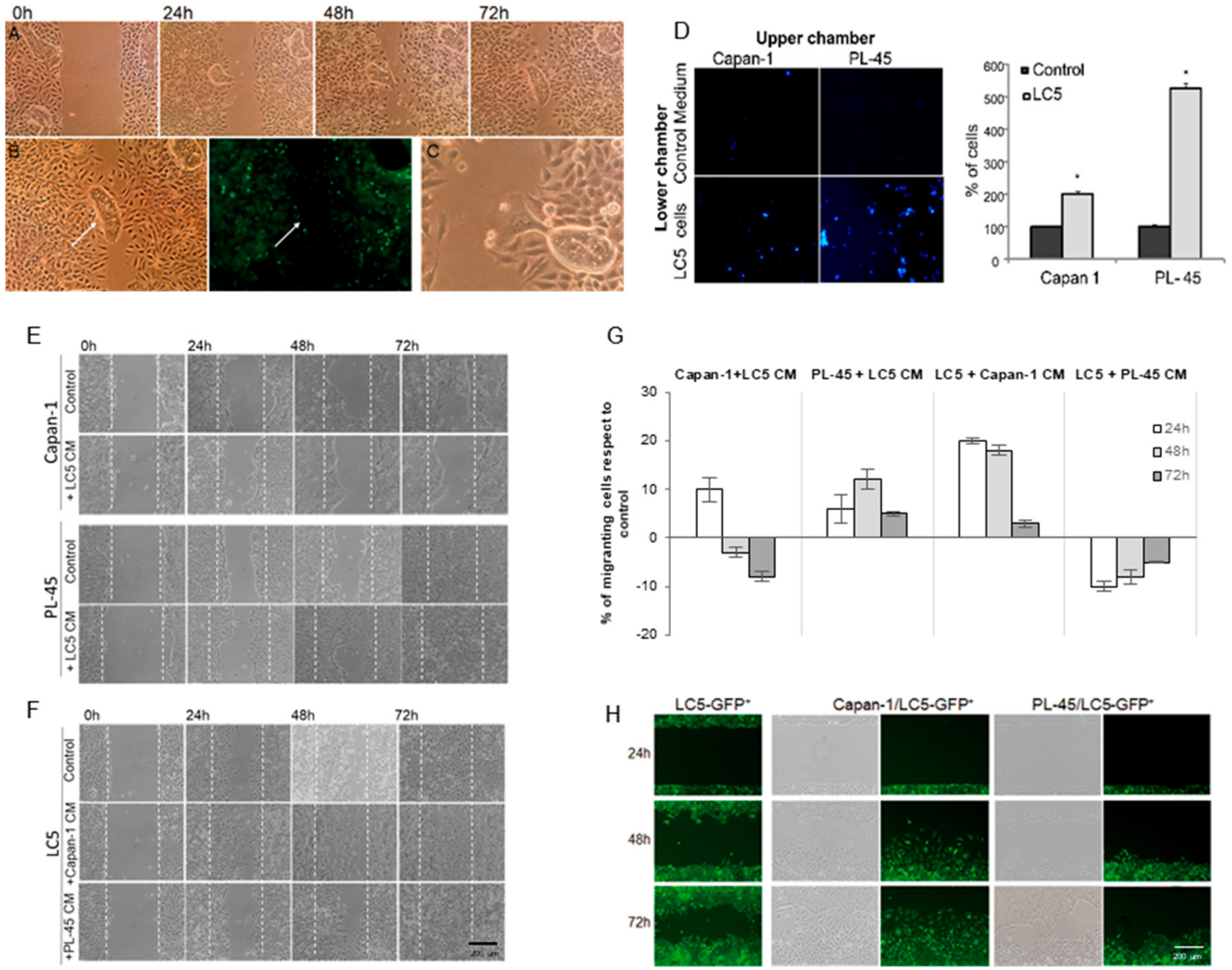 Biomedicines 09 00364 g004 Biomedicines 09 00364 g004