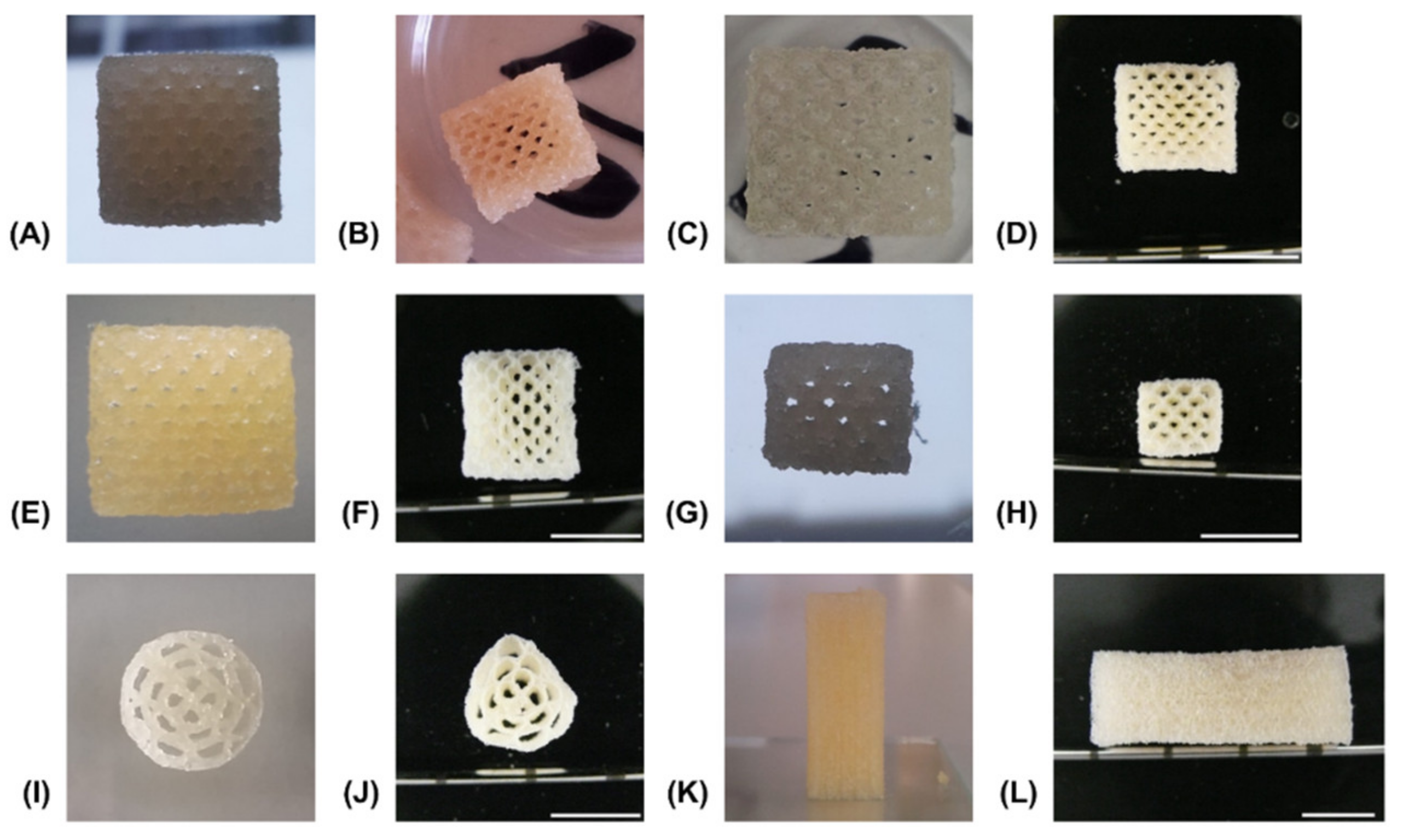 Biomedicines 09 00370 g006