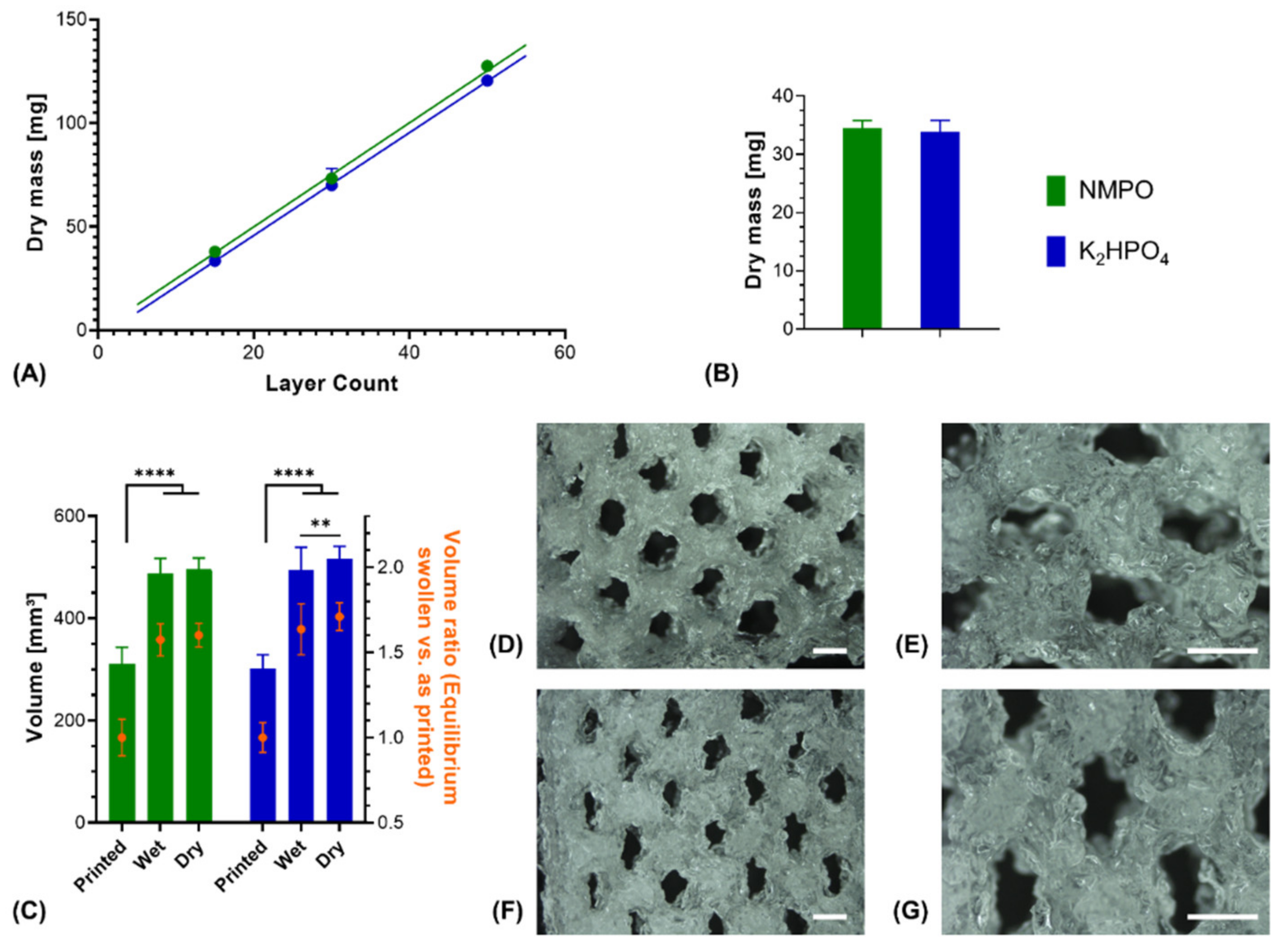Biomedicines 09 00370 g007