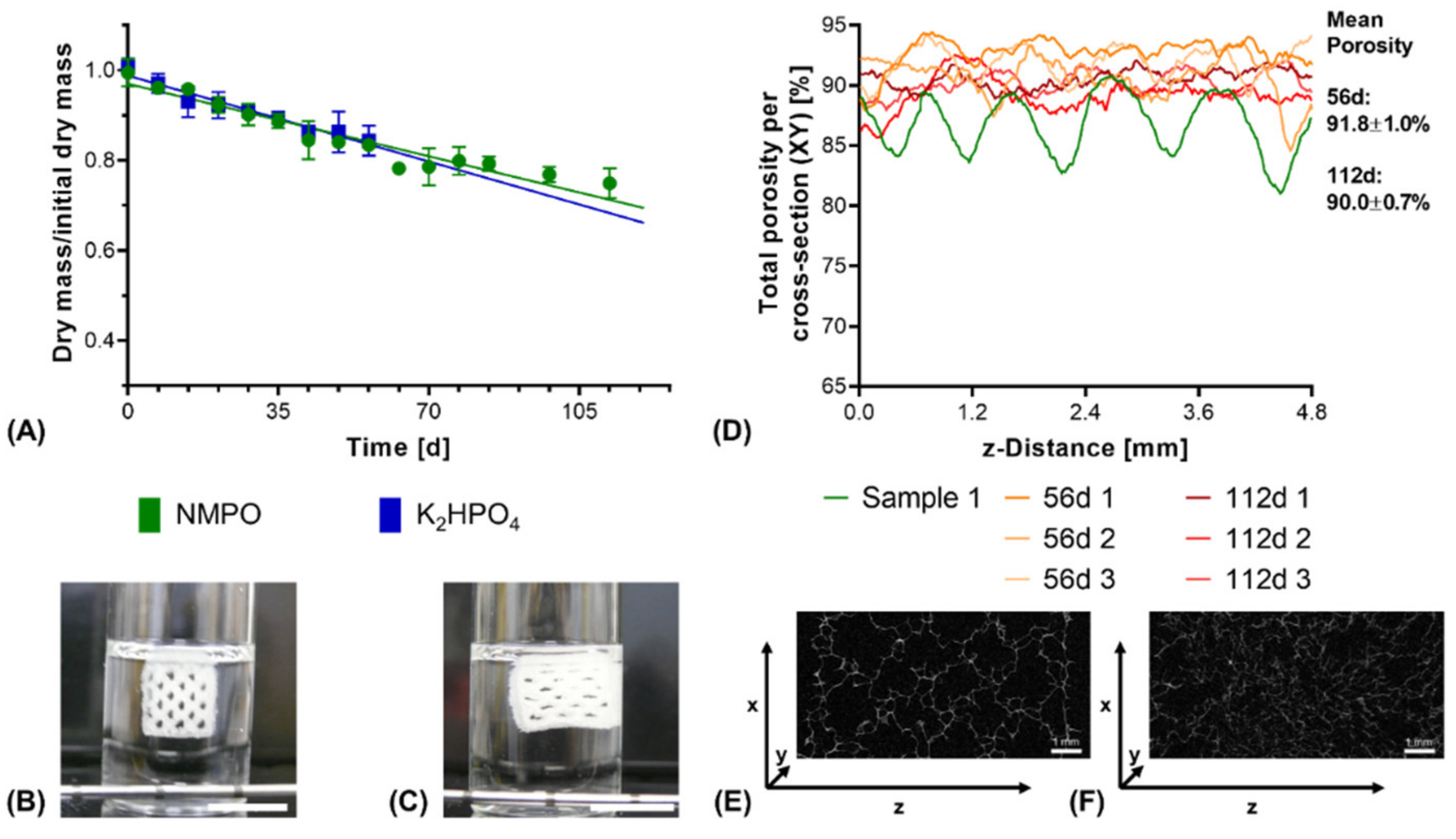 Biomedicines 09 00370 g009