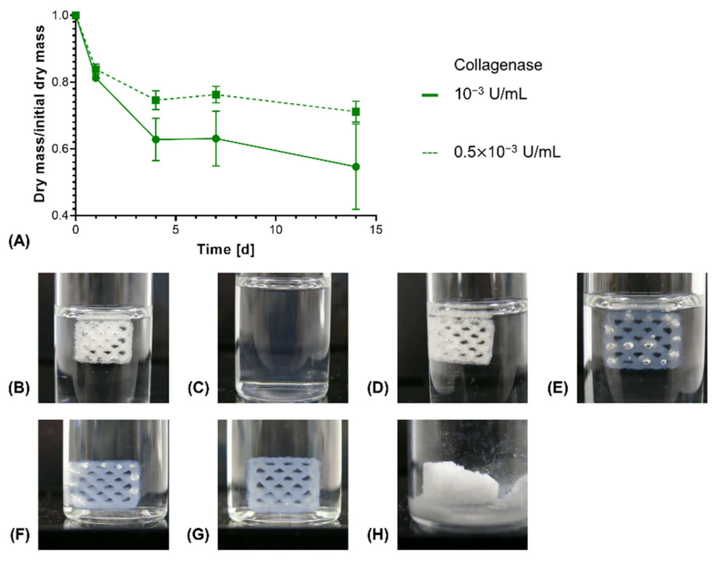 Biomedicines 09 00370 g010