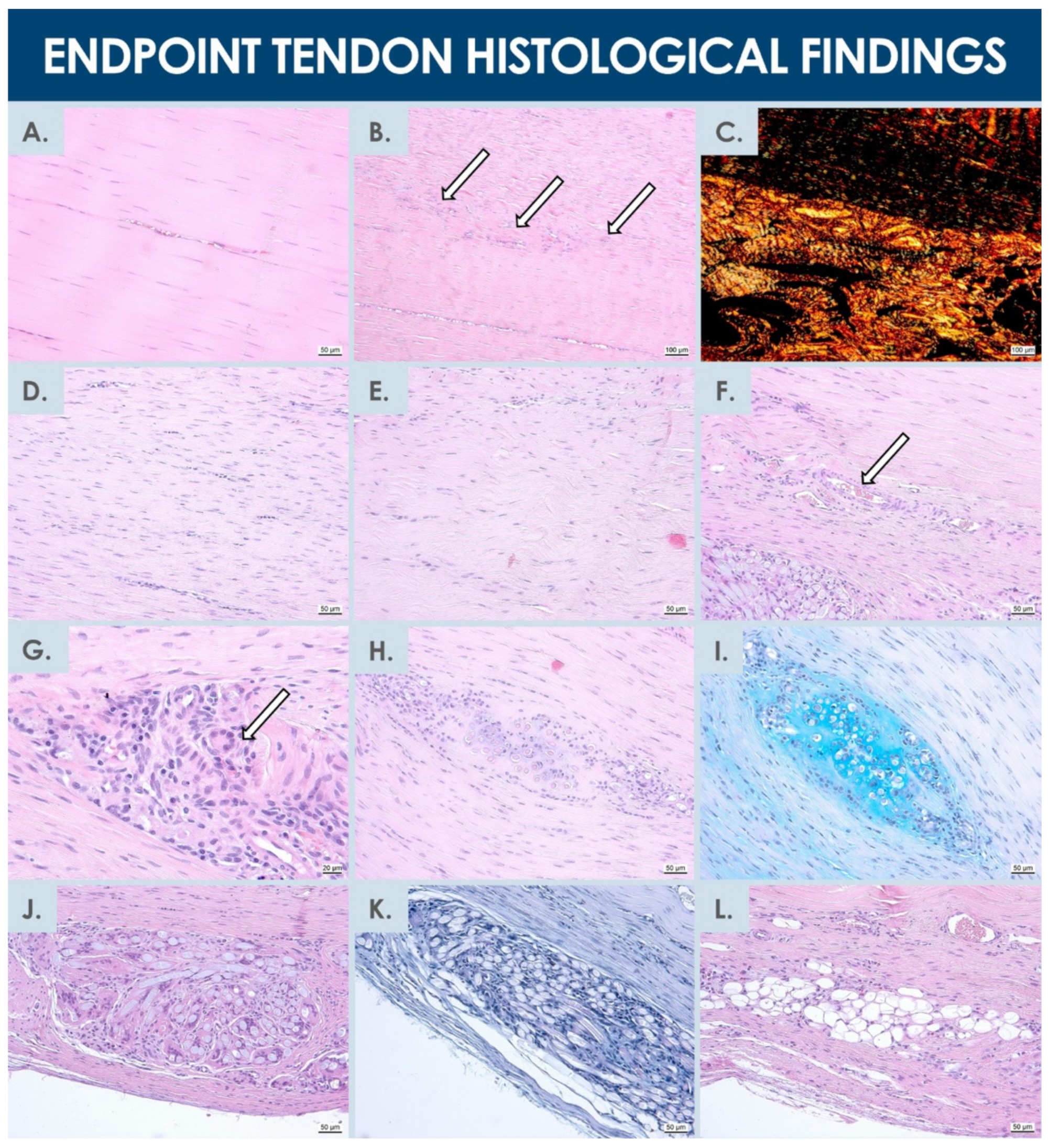 Biomedicines 09 00380 g006