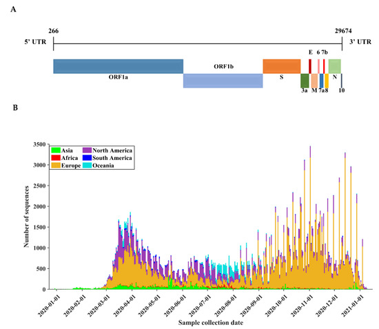 Mapping the human genetic architecture of COVID-19