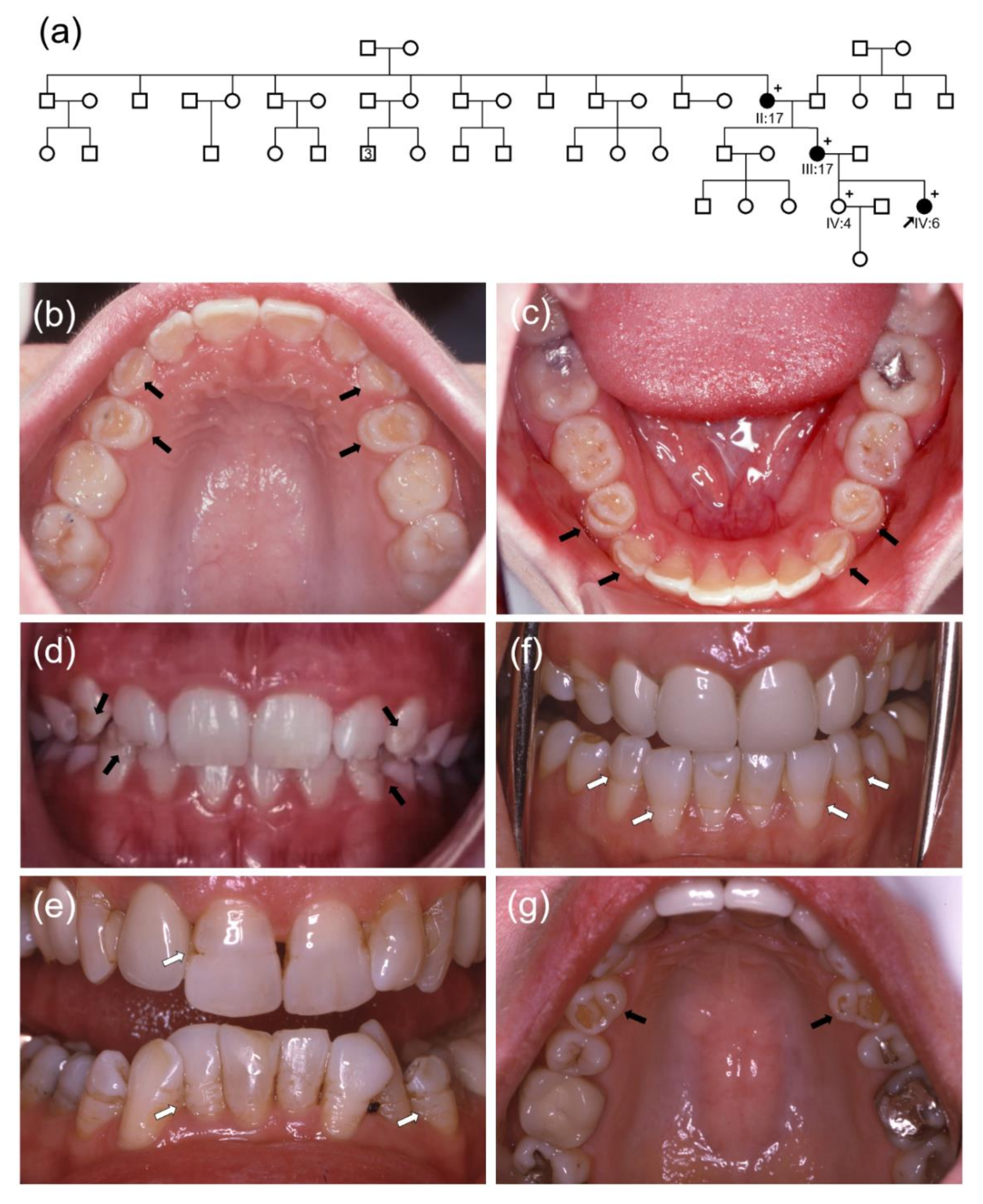 Biomedicines 09 00456 g001a