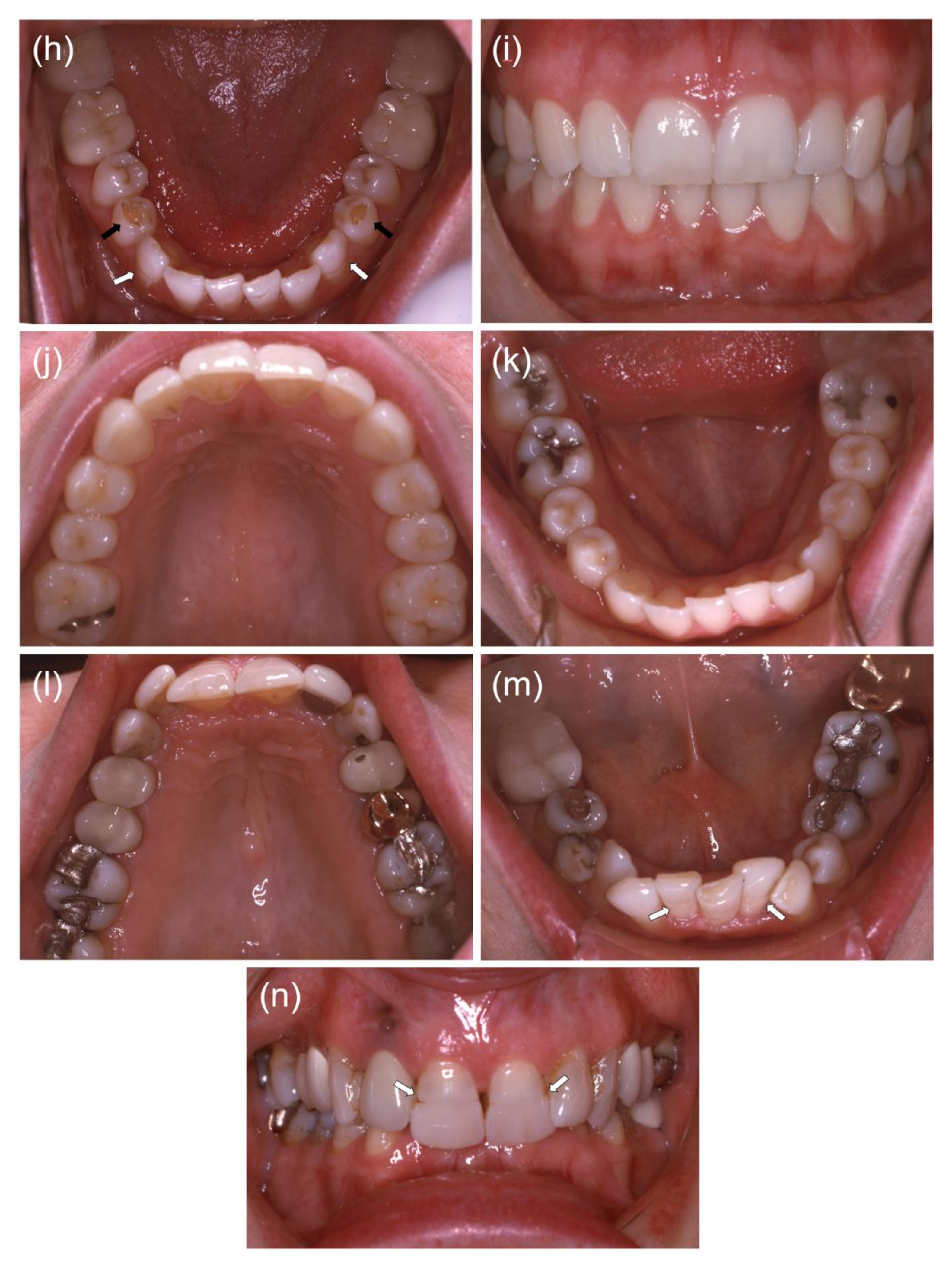 Biomedicines 09 00456 g001b