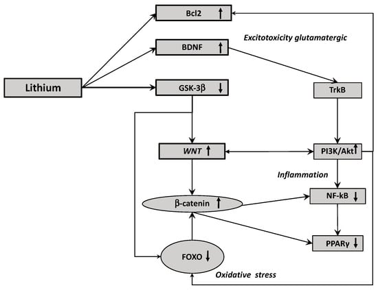 Prolonged neurological sequelae after combination treatment with lithium  and antipsychotic drugs.