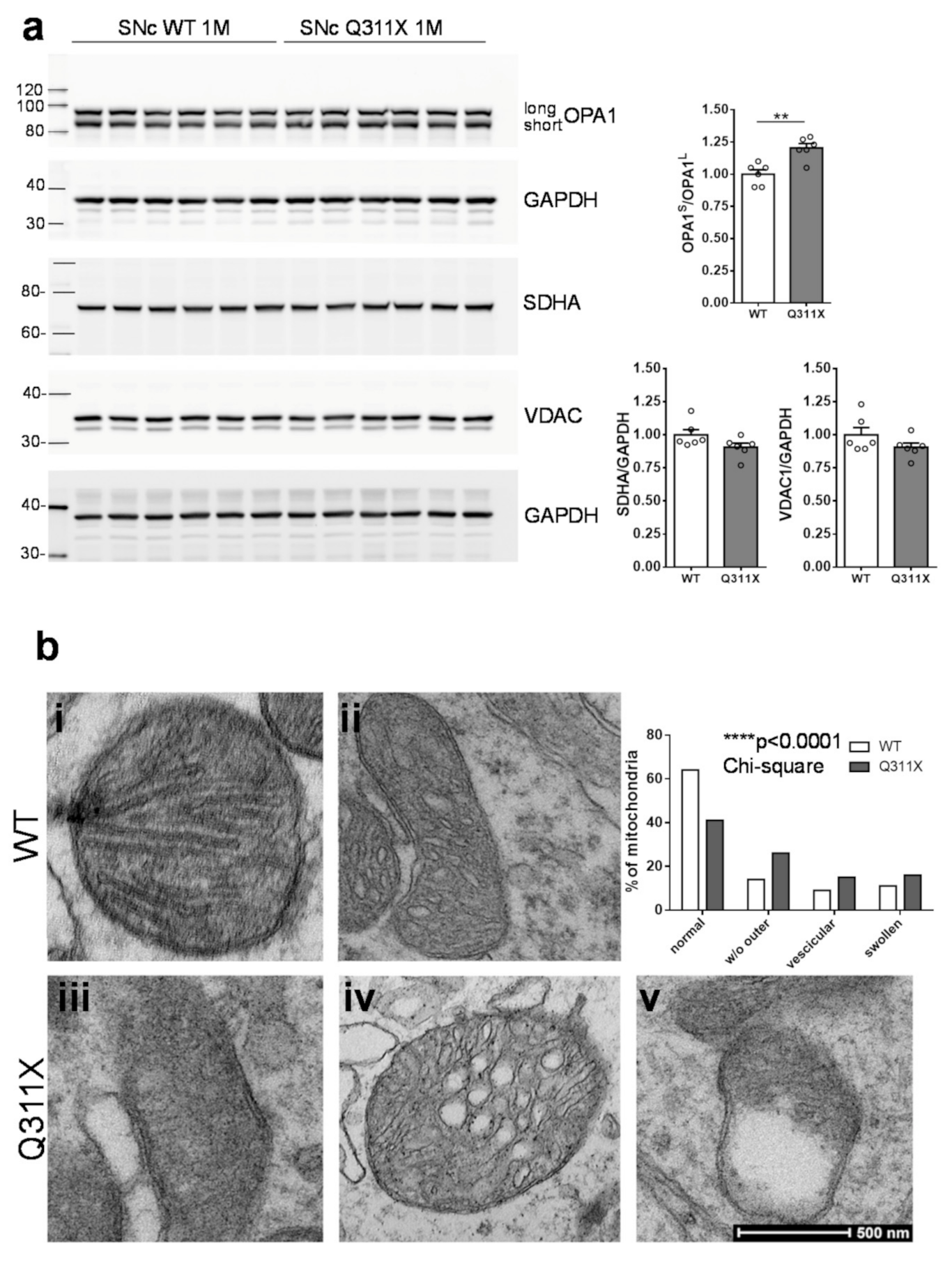 Biomedicines 09 00514 g003 Biomedicines 09 00514 g003
