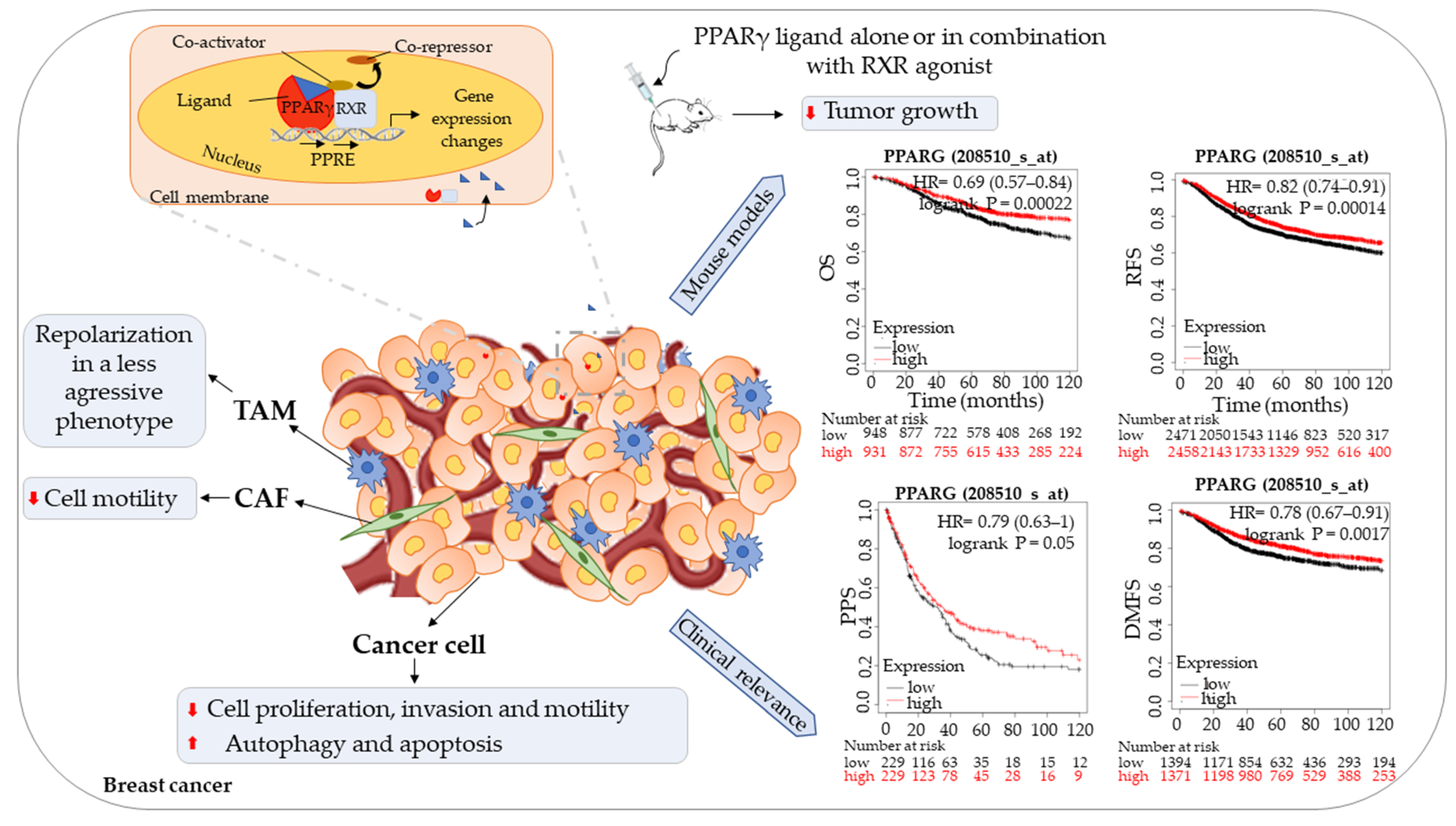 Biomedicines 09 00543 g001 Biomedicines 09 00543 g001