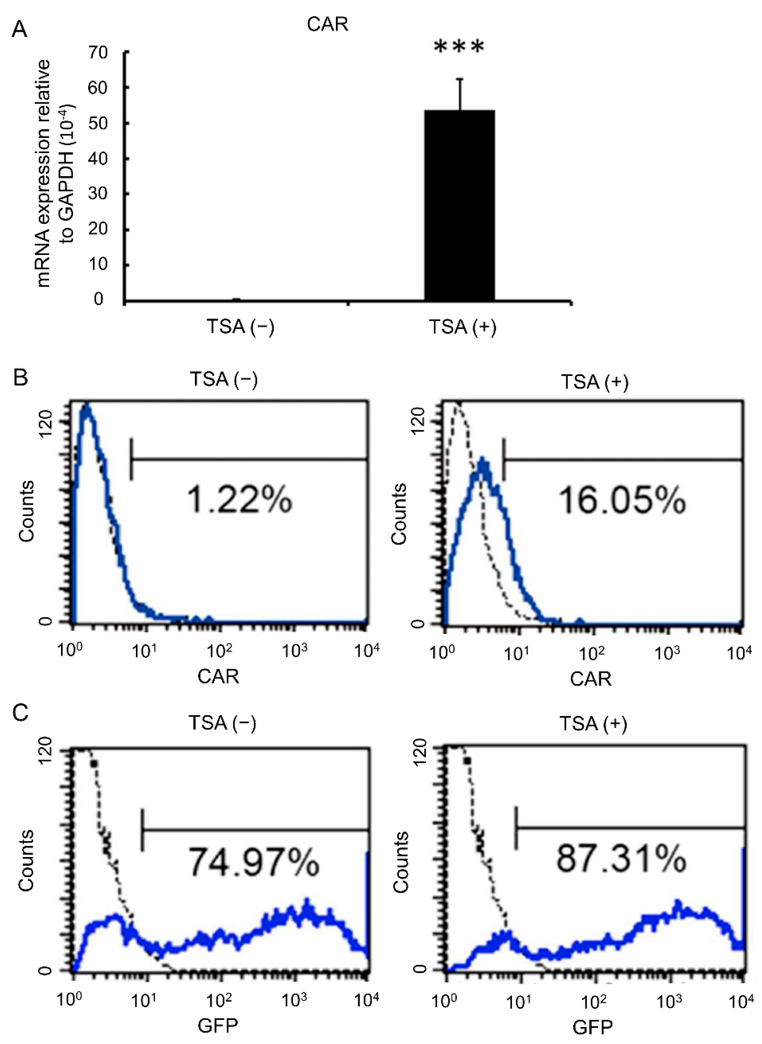 Biomedicines 09 00548 g002