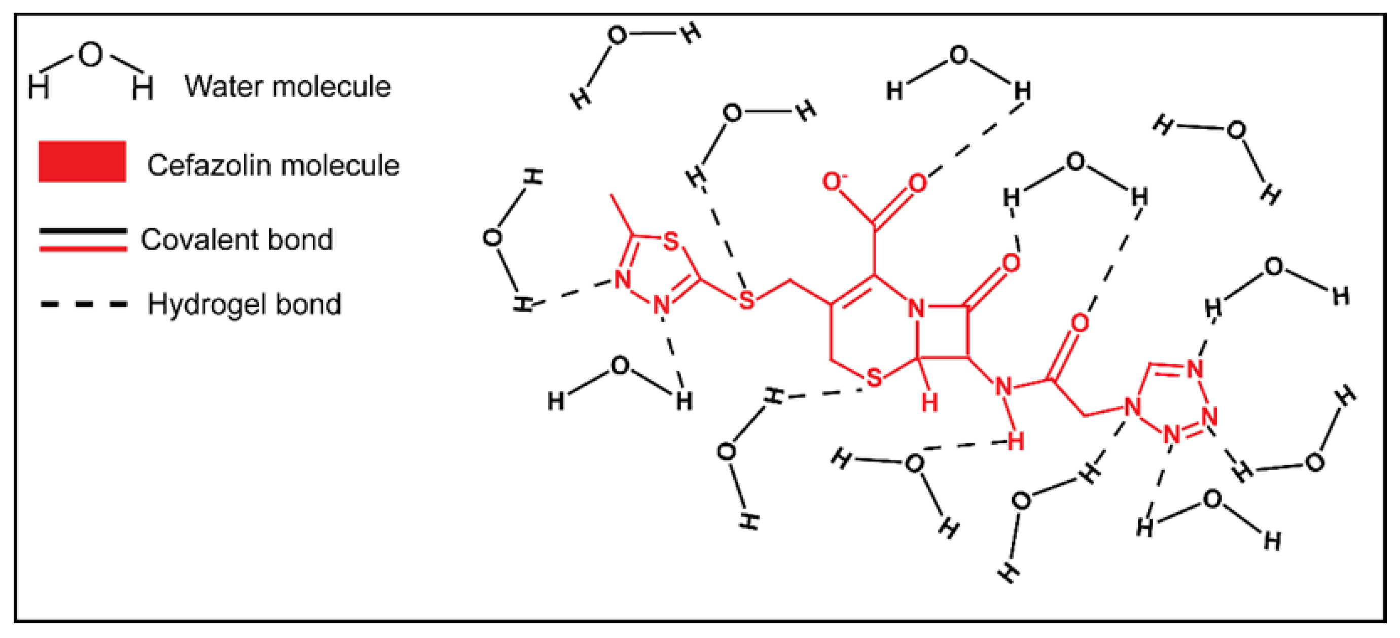 Biomedicines 09 00574 g012 Biomedicines 09 00574 g012