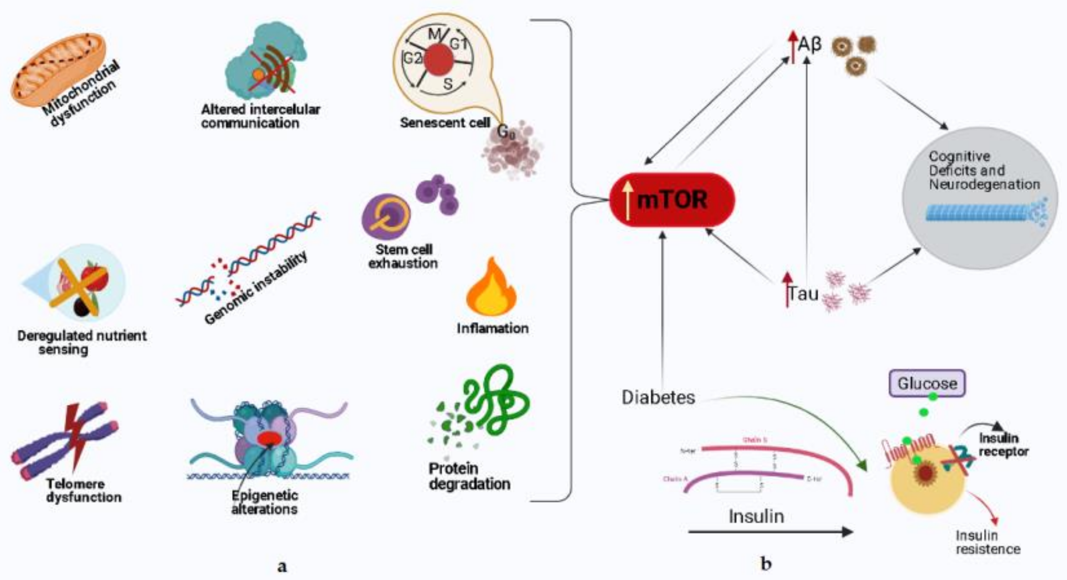 Biomedicines 09 00576 g002 Biomedicines 09 00576 g002