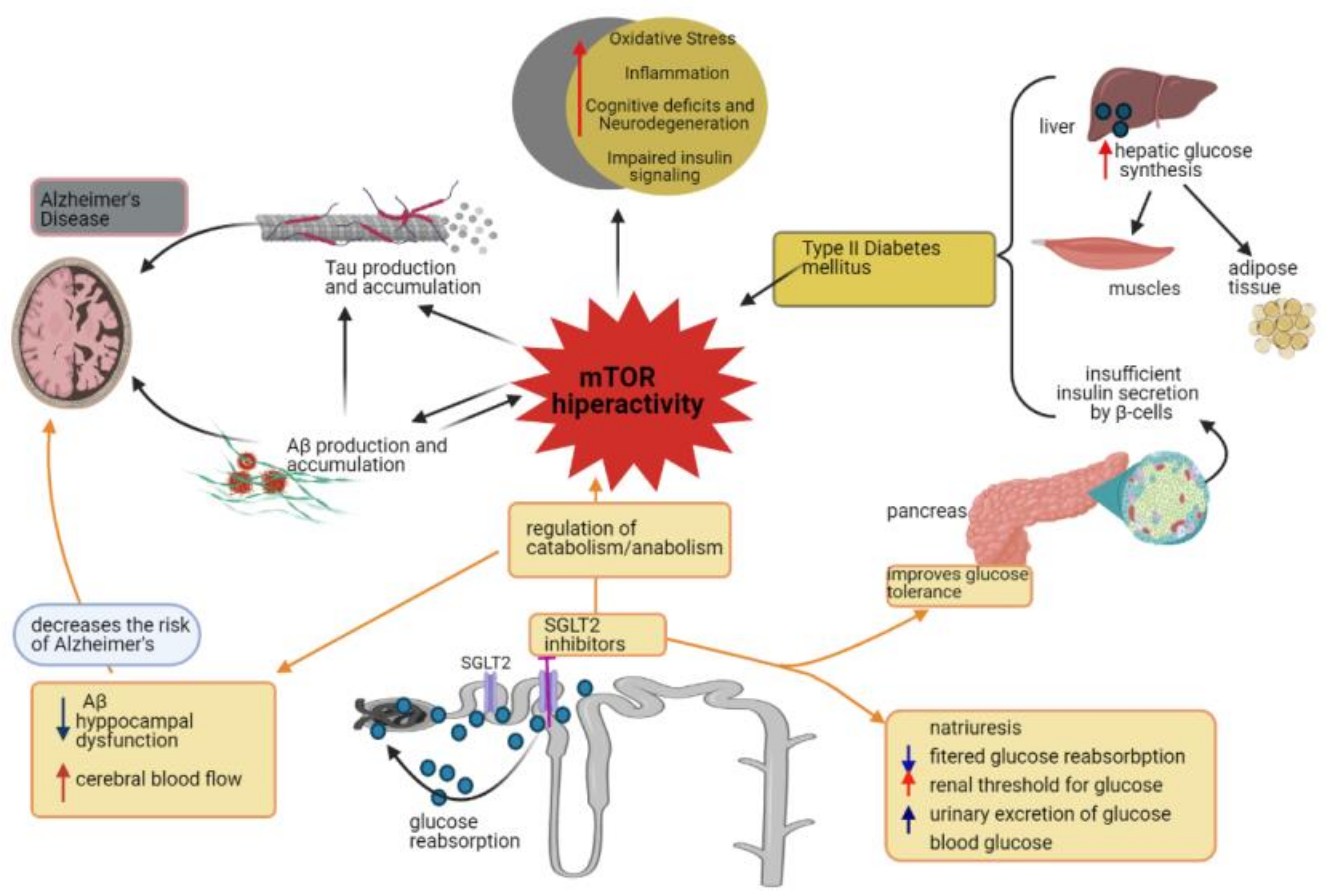 Biomedicines 09 00576 g003 Biomedicines 09 00576 g003