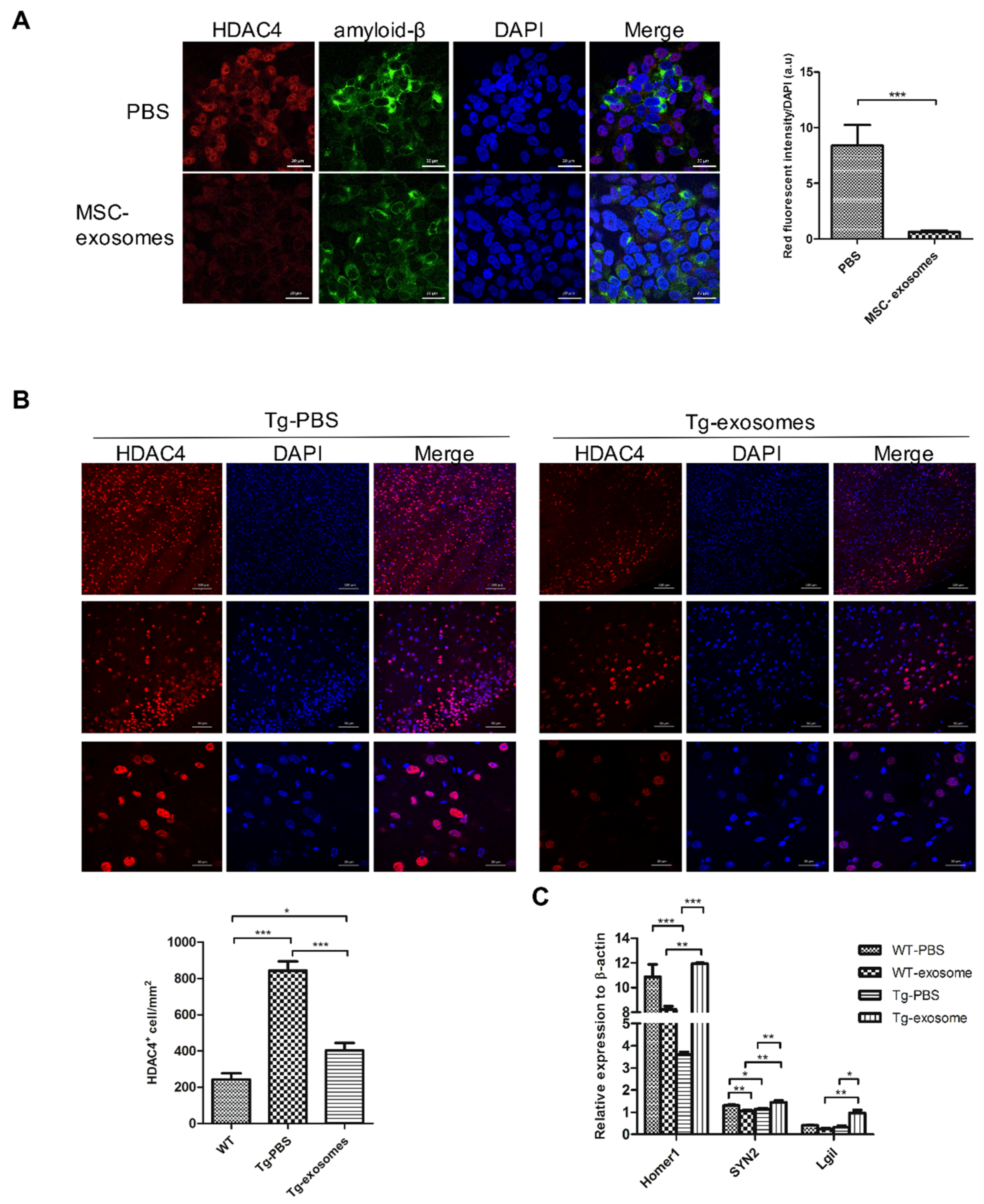 Biomedicines 09 00594 g006