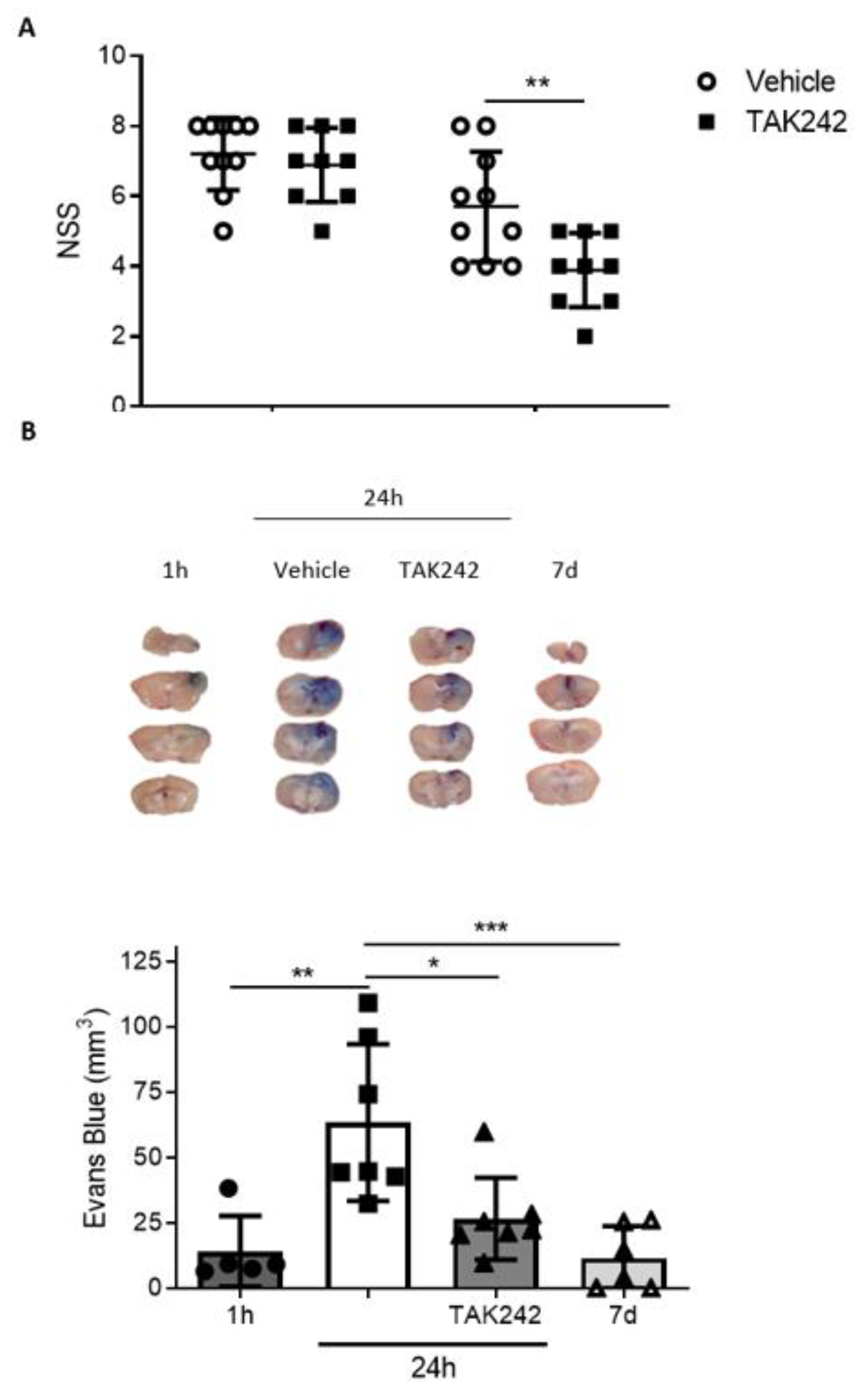 Biomedicines 09 00599 g007