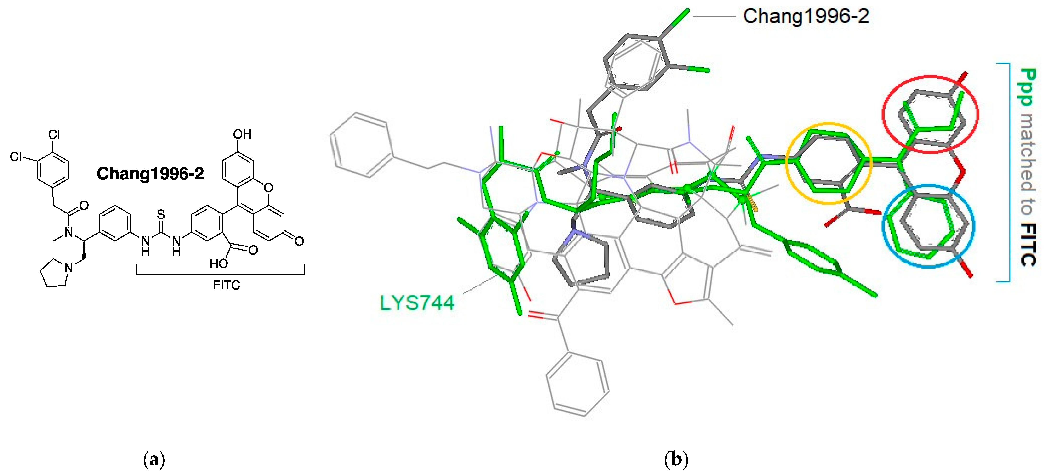 Biomedicines 09 00625 g005 Biomedicines 09 00625 g005