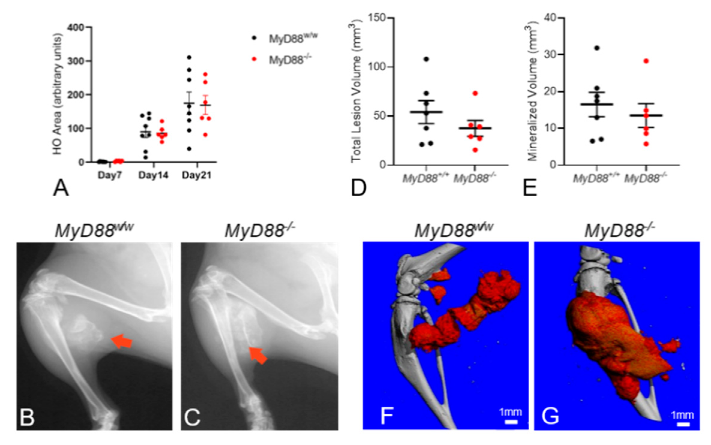 Biomedicines 09 00630 g004 Biomedicines 09 00630 g004