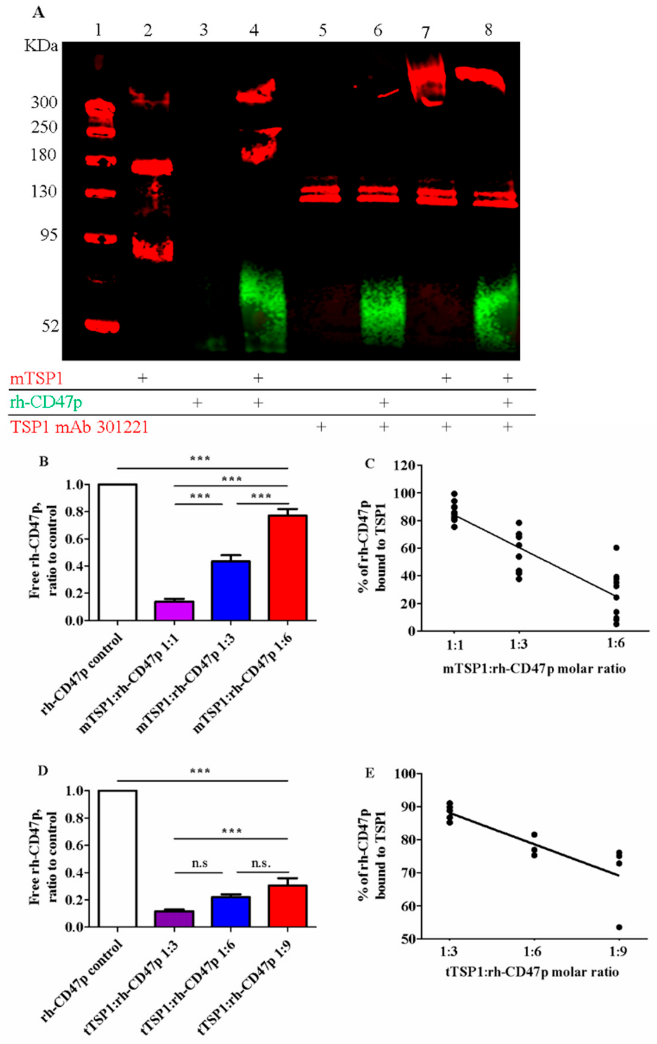Biomedicines 09 00642 g002