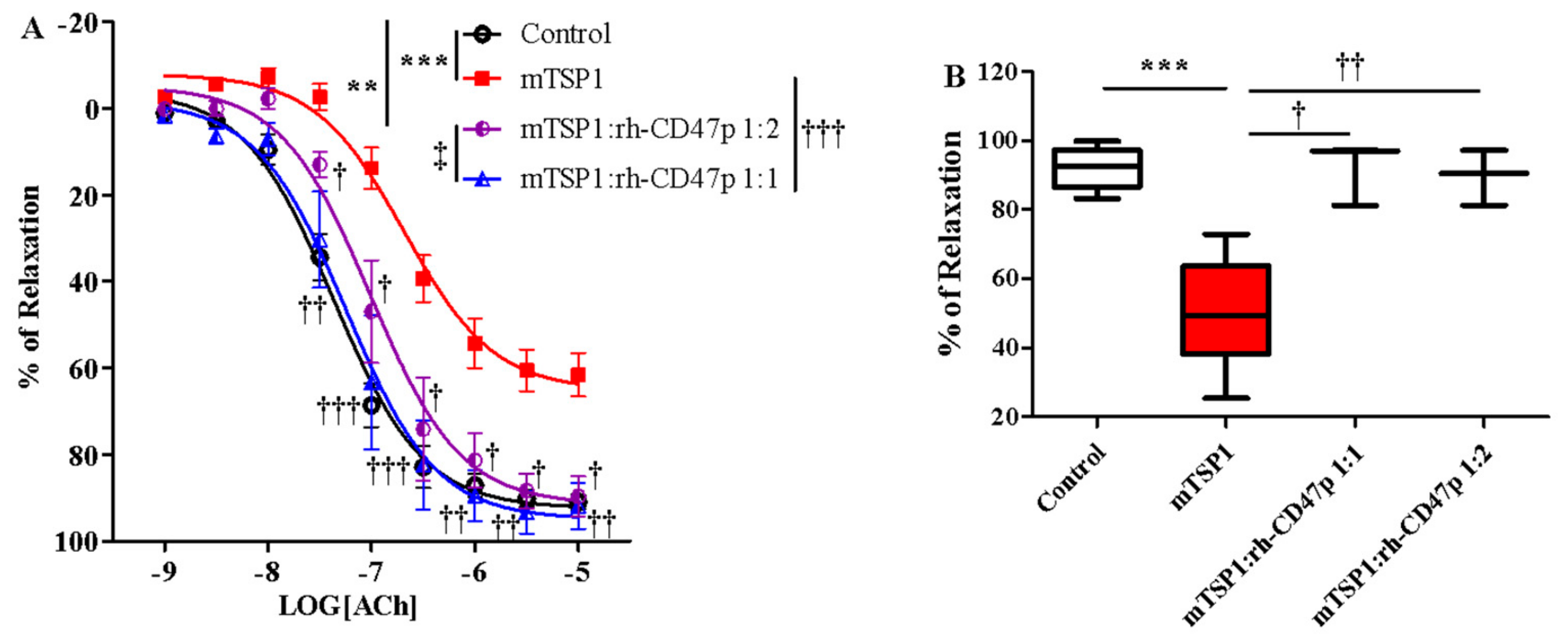 Biomedicines 09 00642 g005