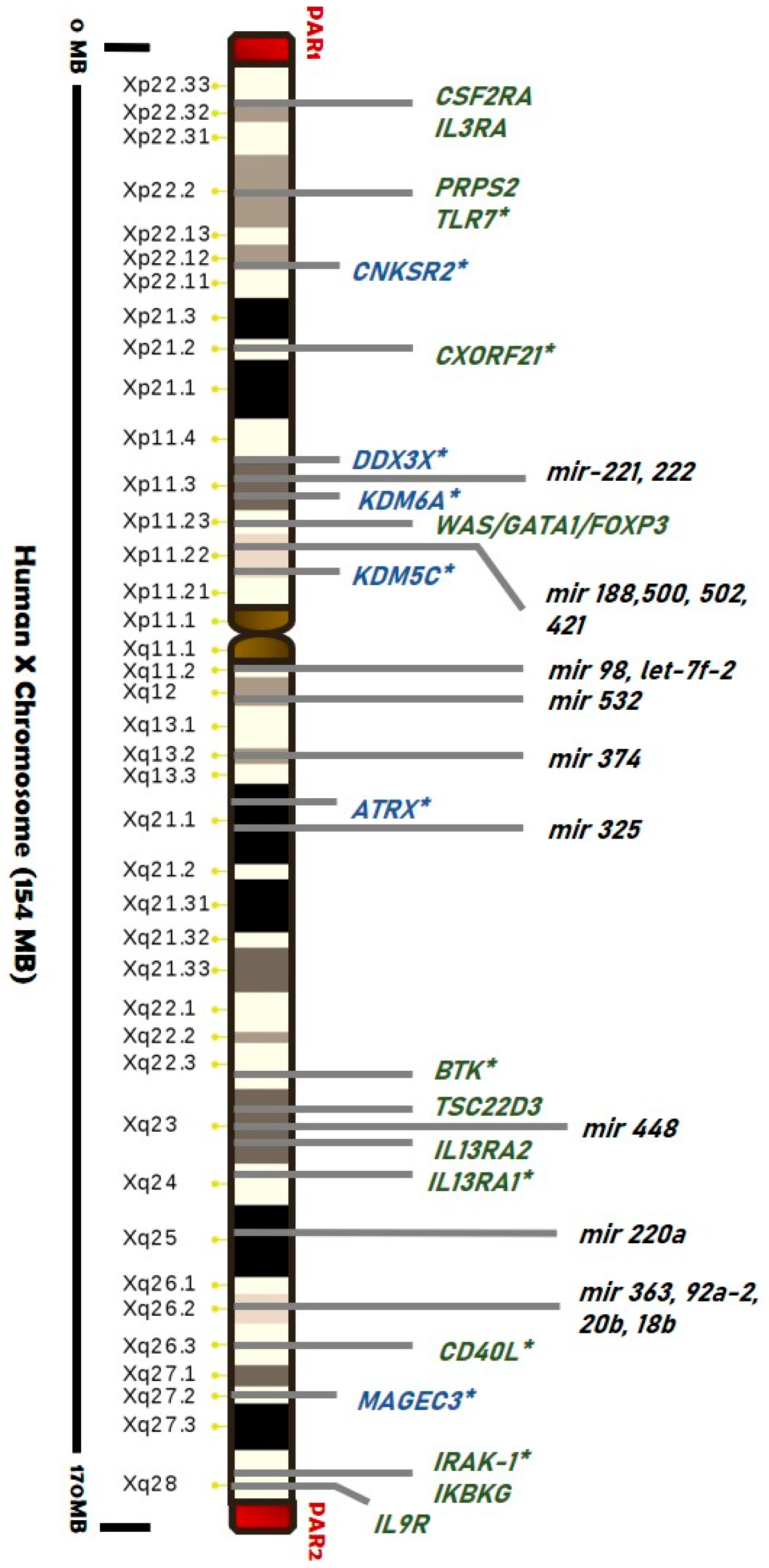 Biomedicines 09 00652 g002